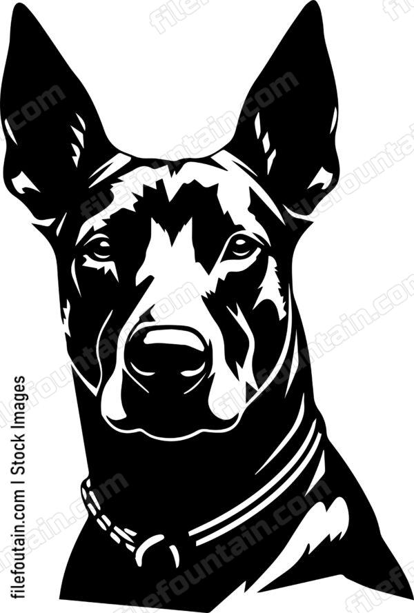 Doberman Pinscher