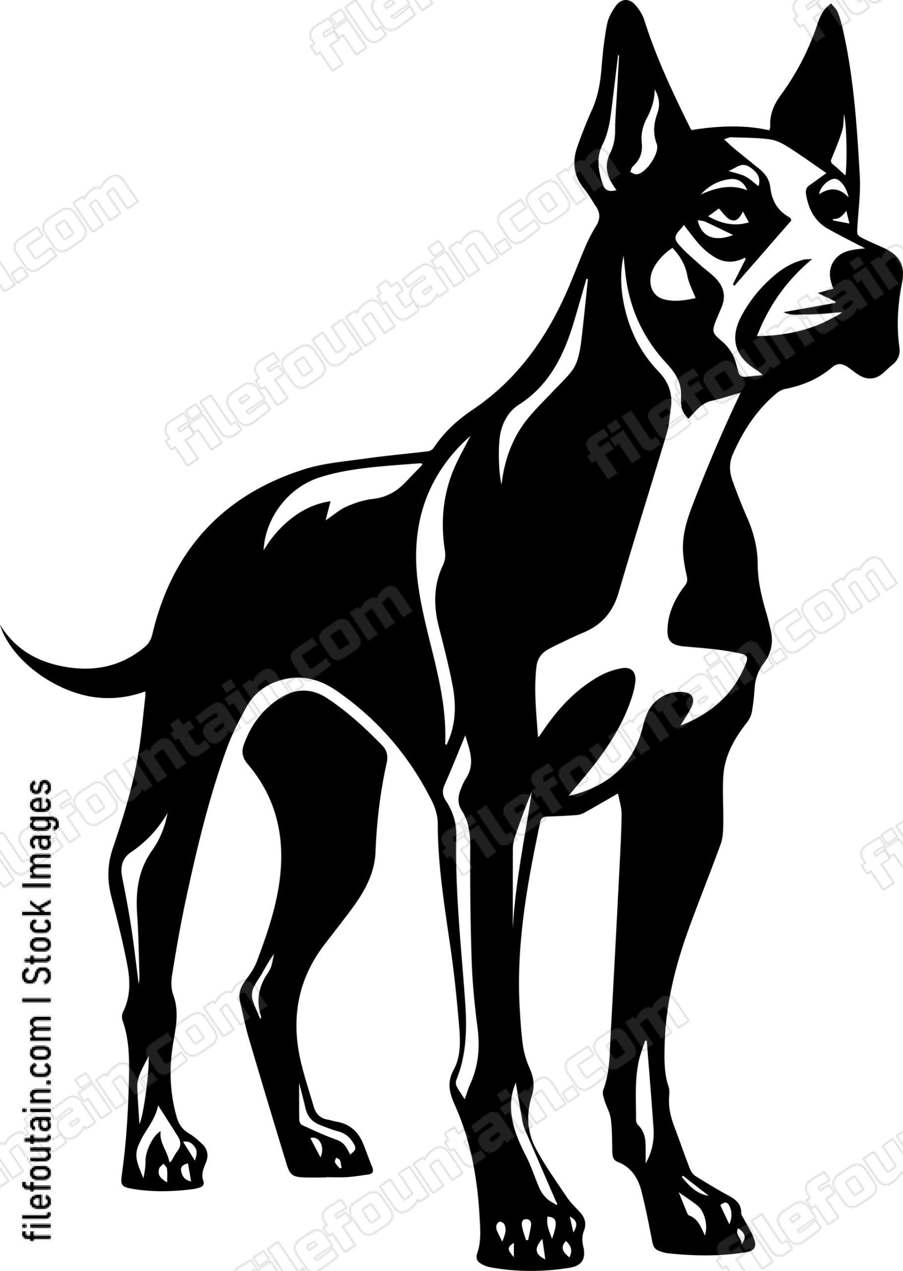 Doberman Pinscher
