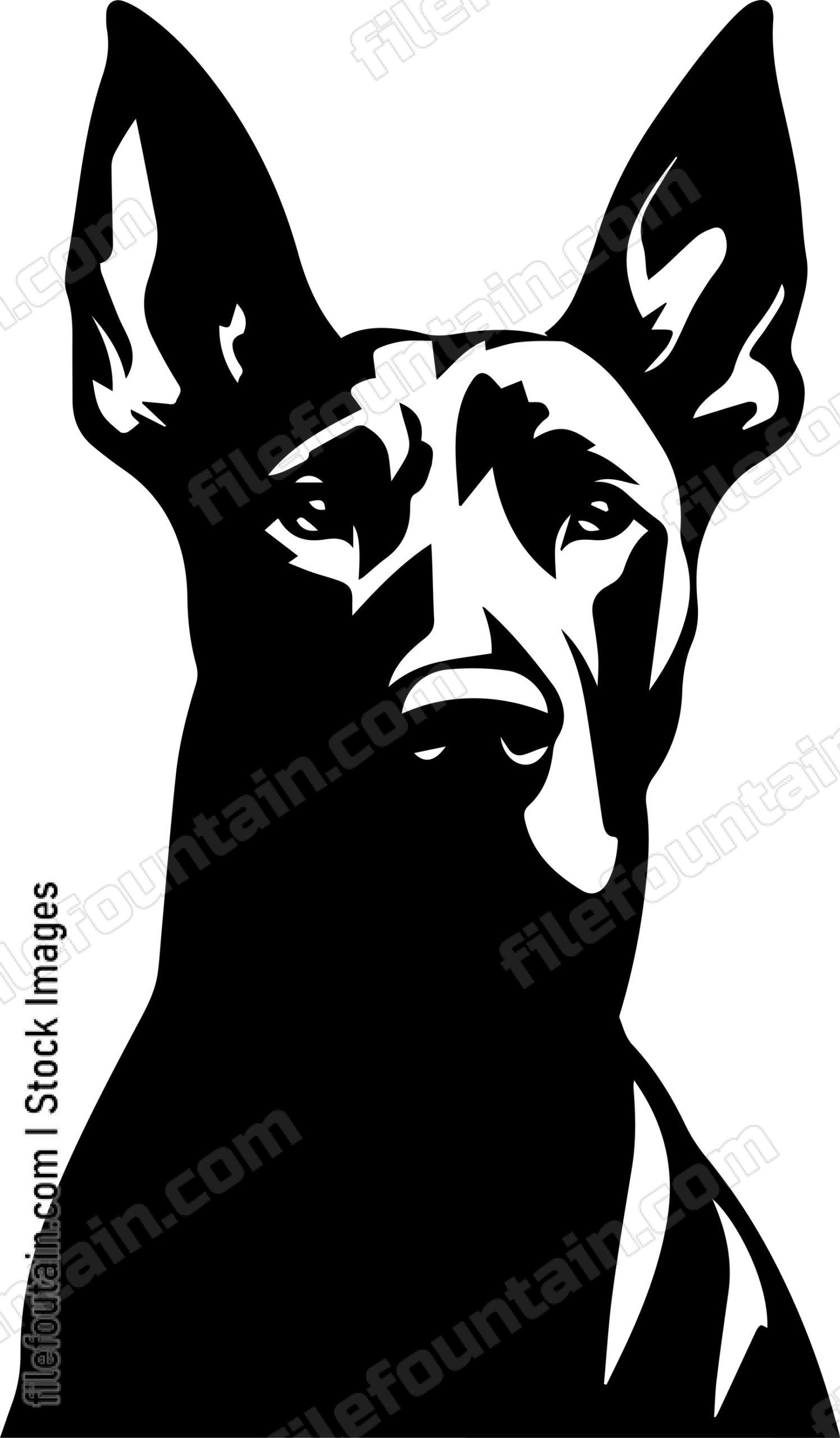 Doberman Pinscher