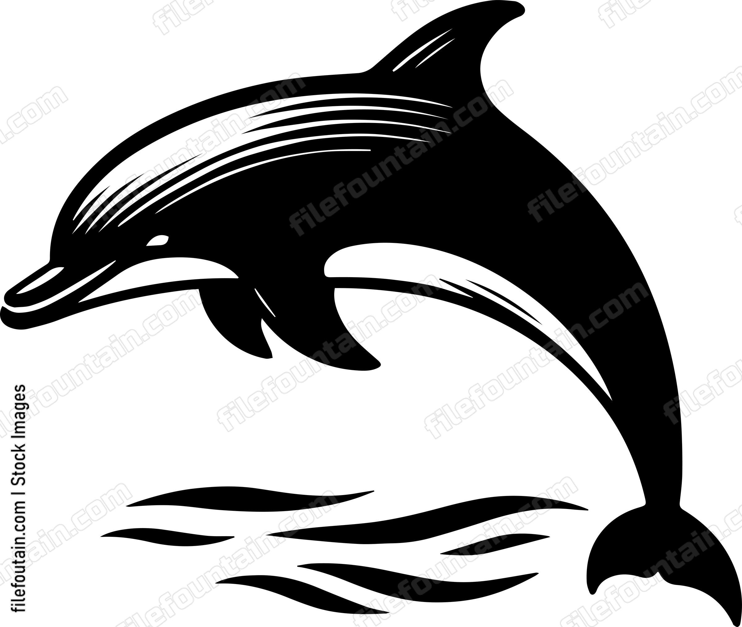 Dolphin