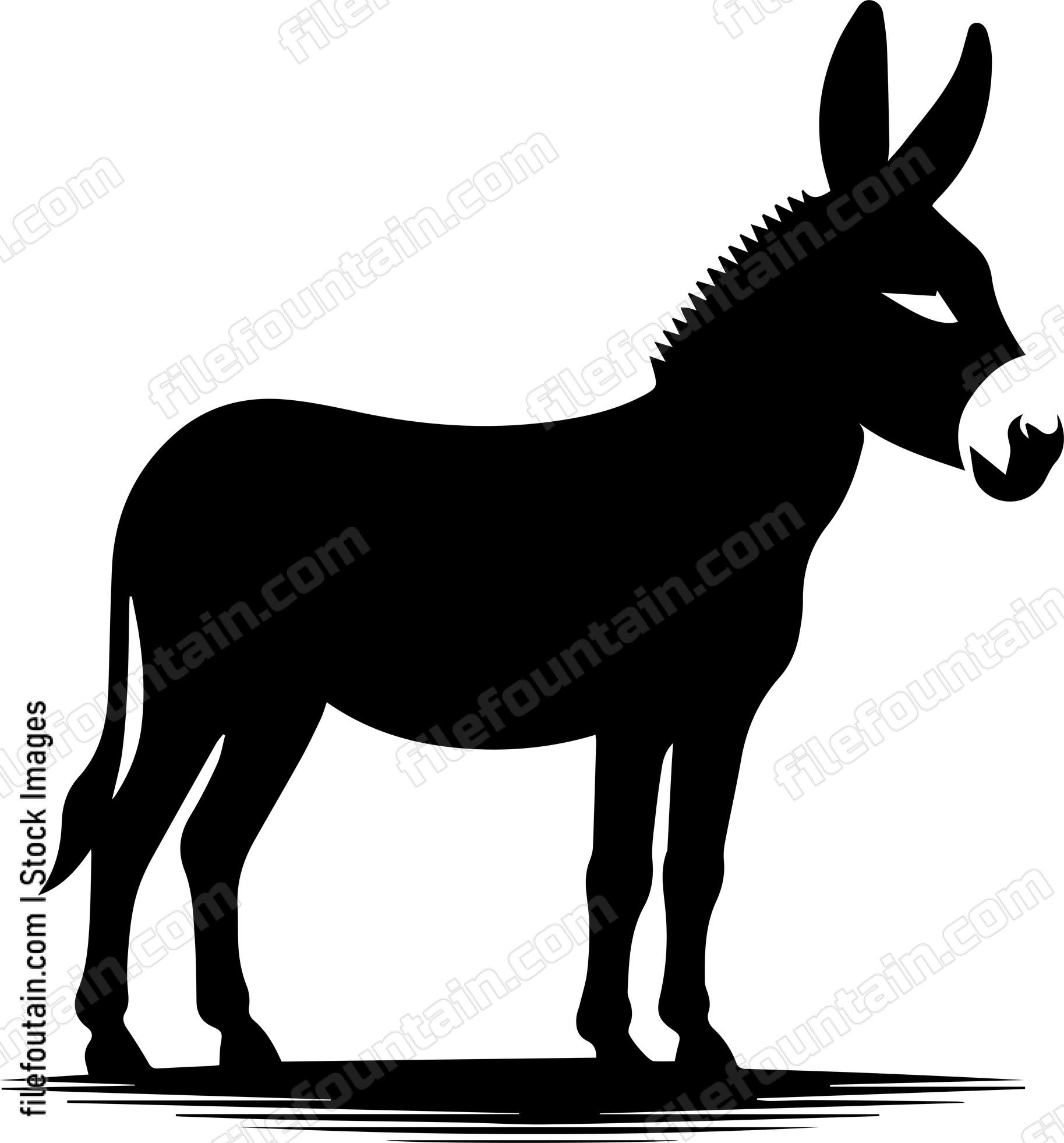 Donkey