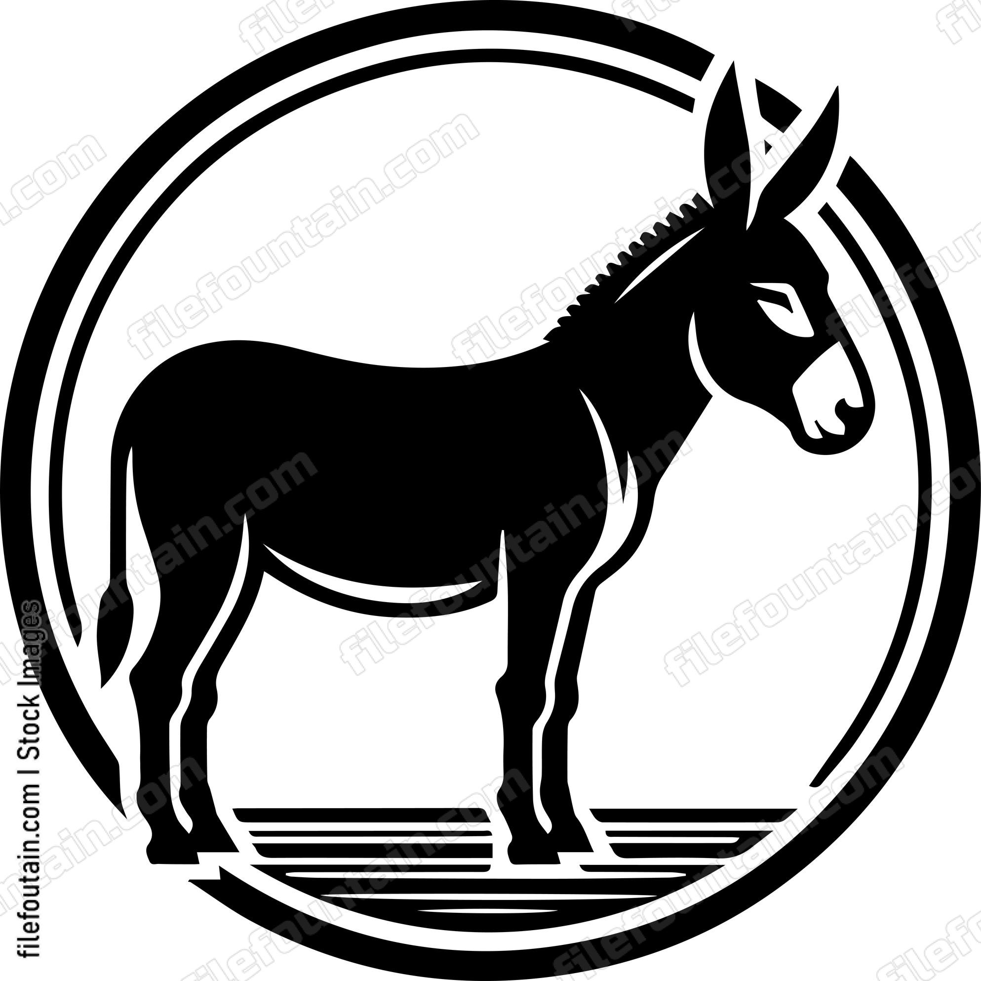 Donkey