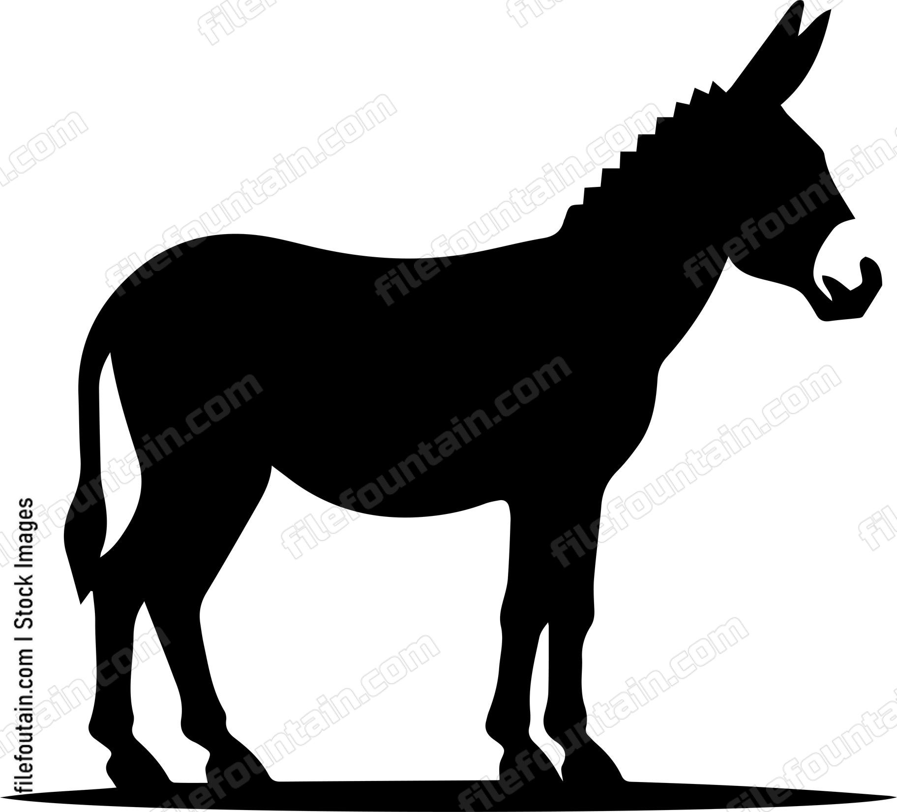 Donkey