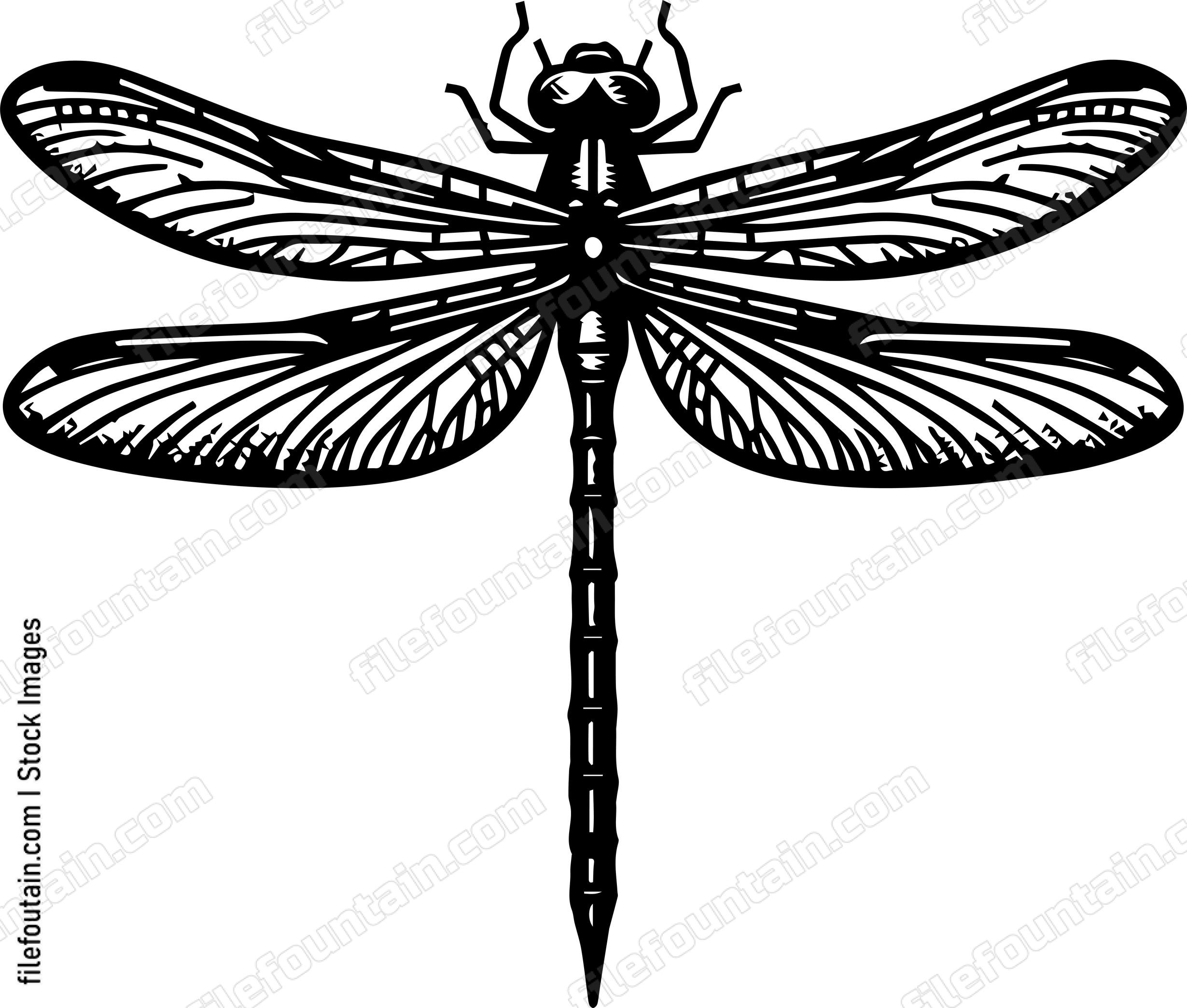 Dragonfly