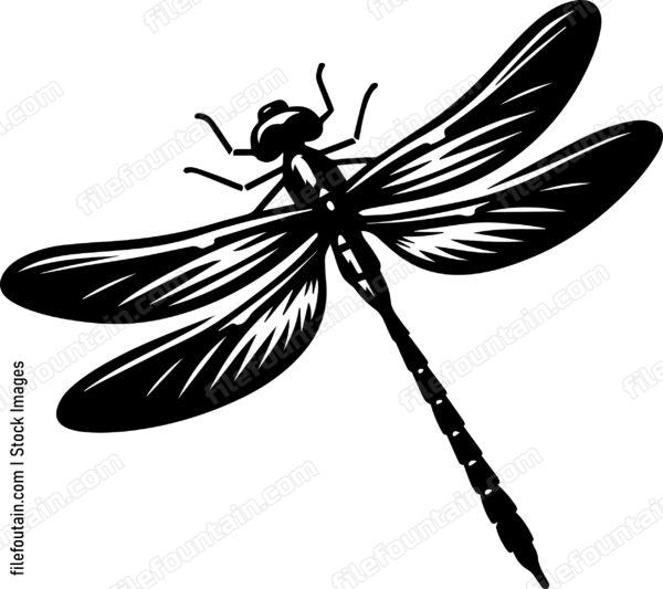 Dragonfly