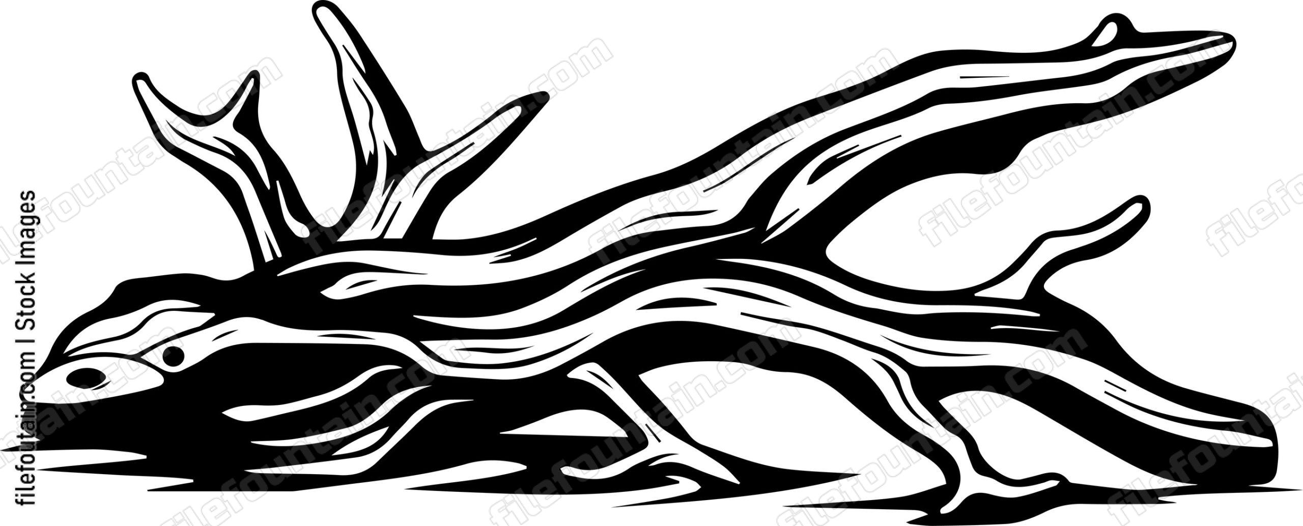 Driftwood