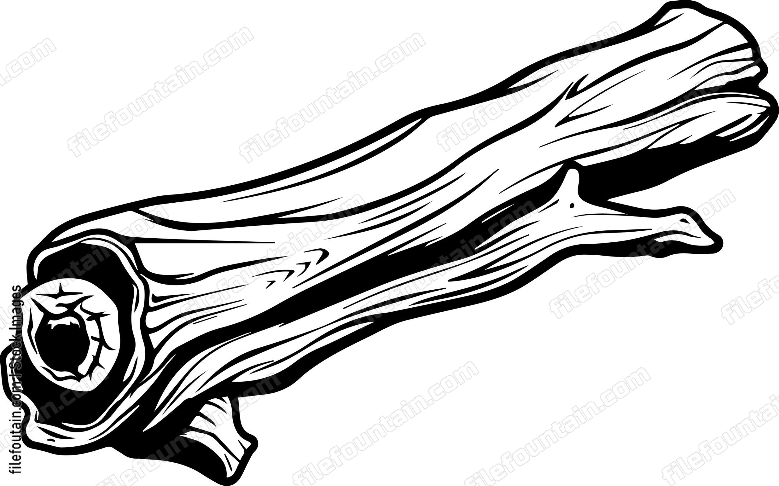 Driftwood