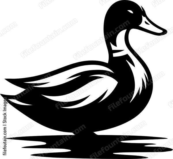 Duck