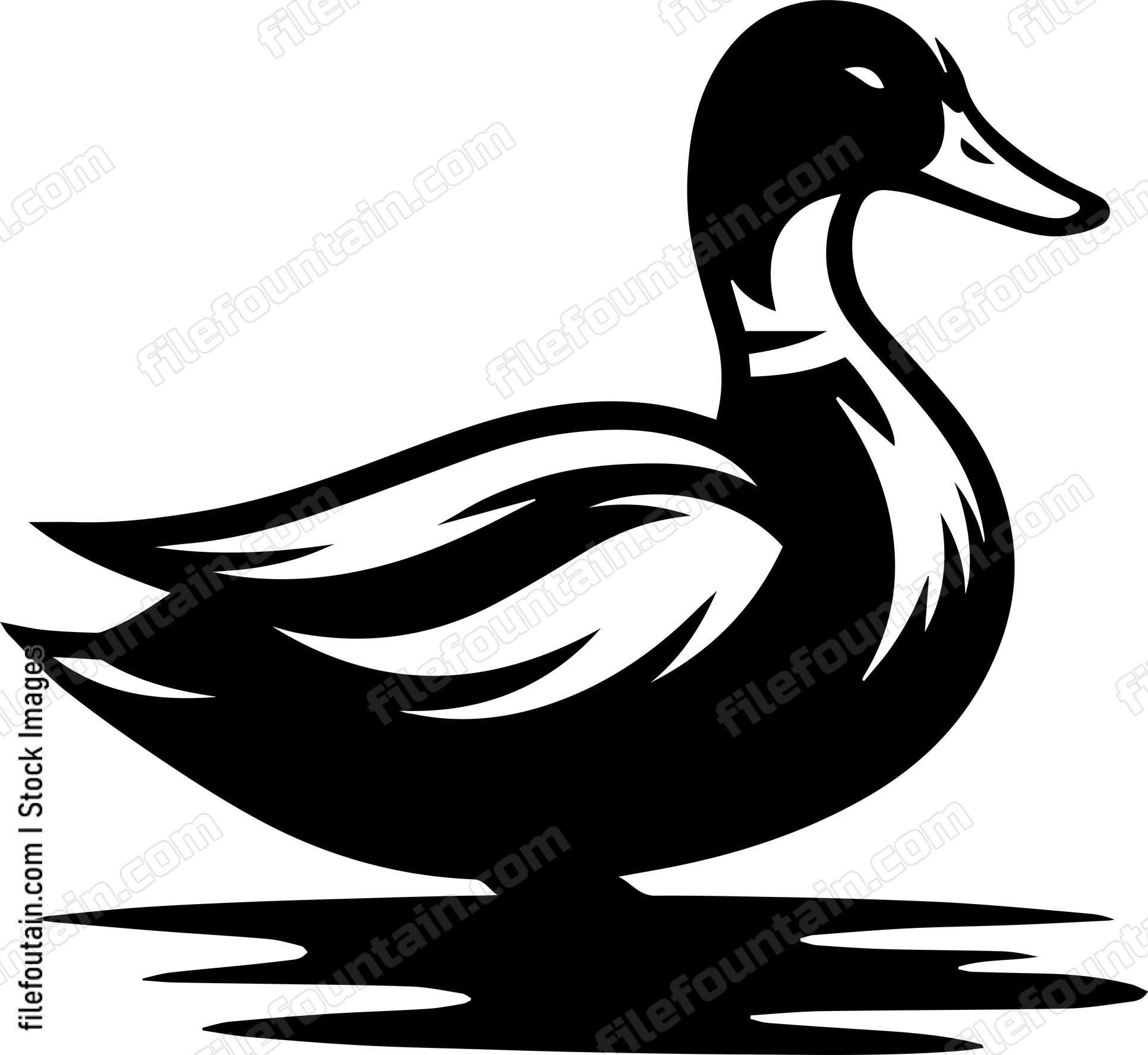 Duck