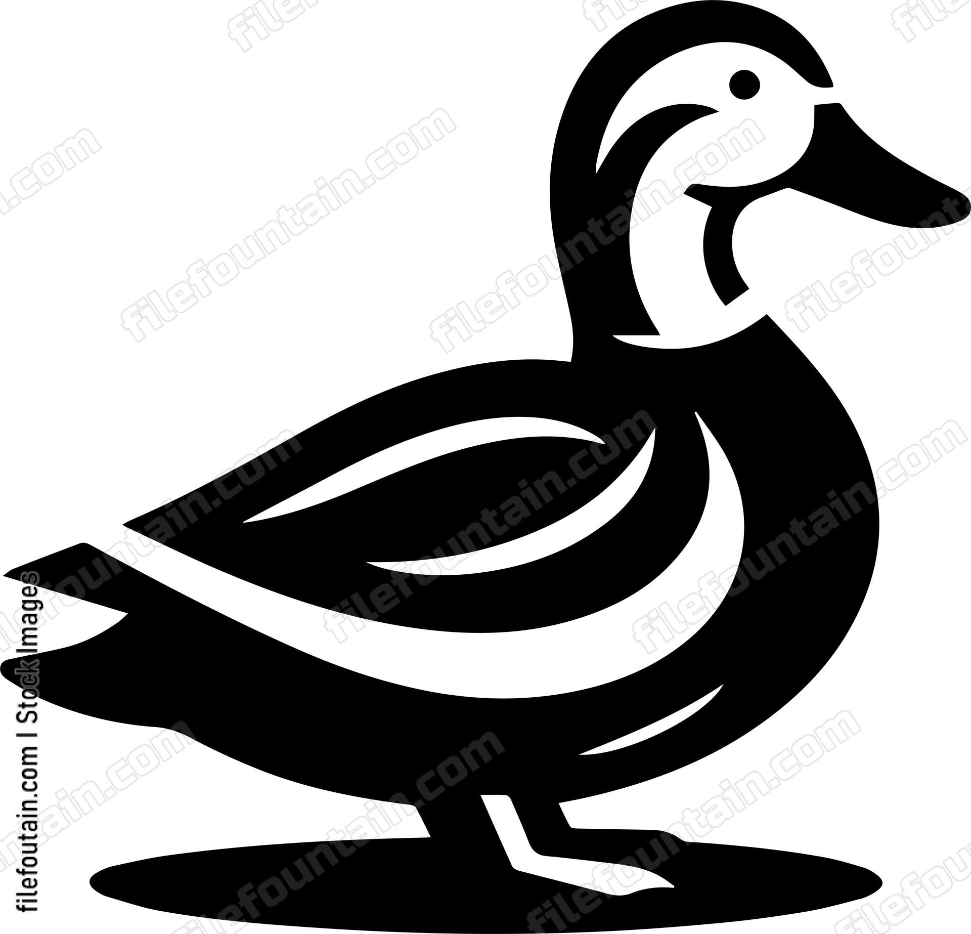 Duck