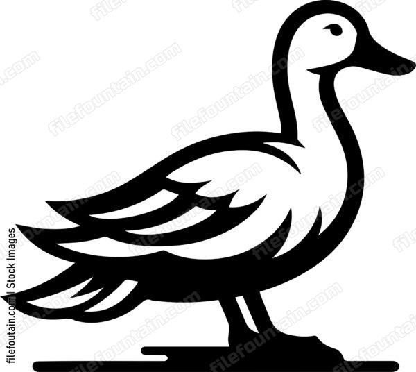Duck