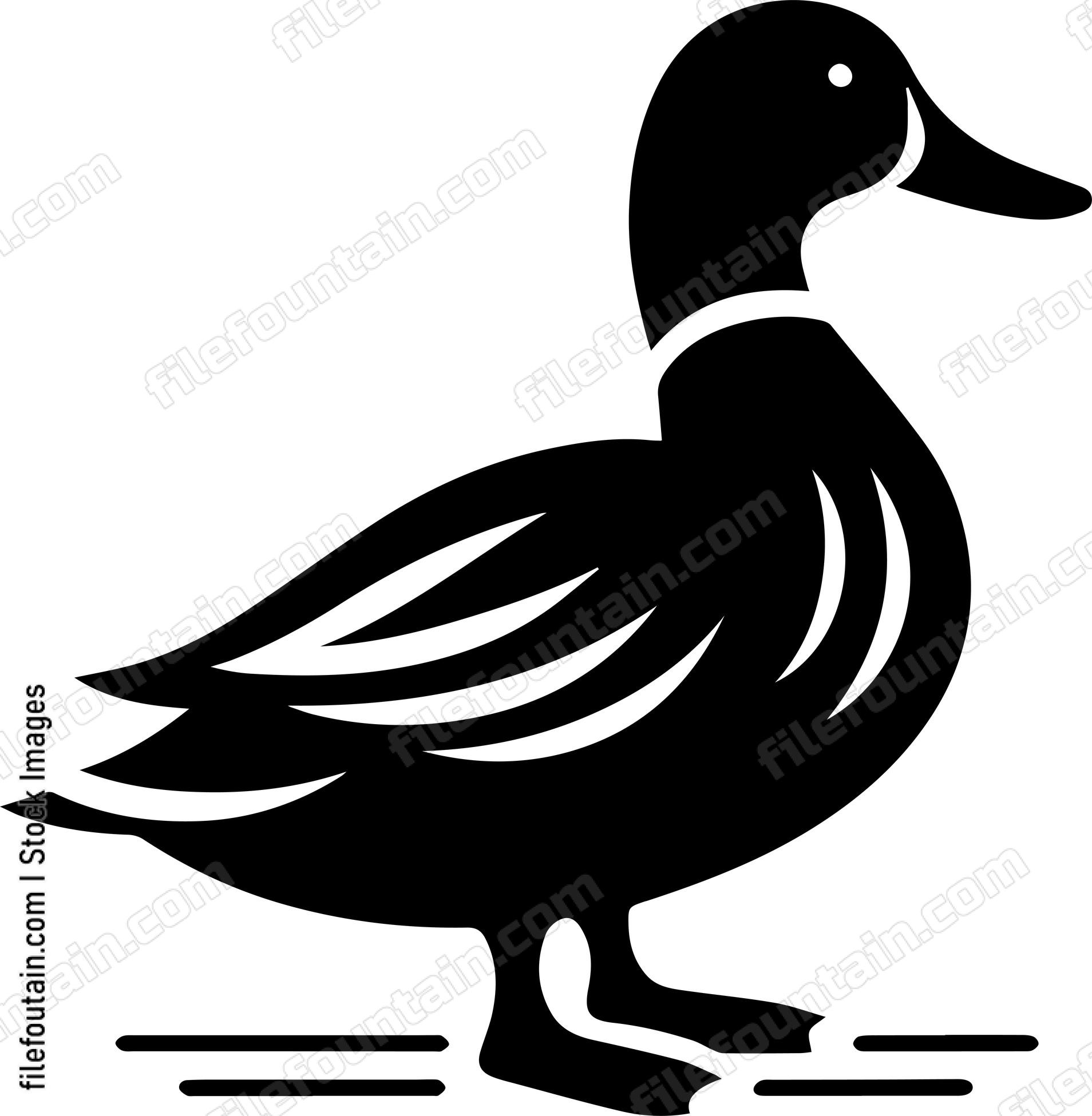 Duck