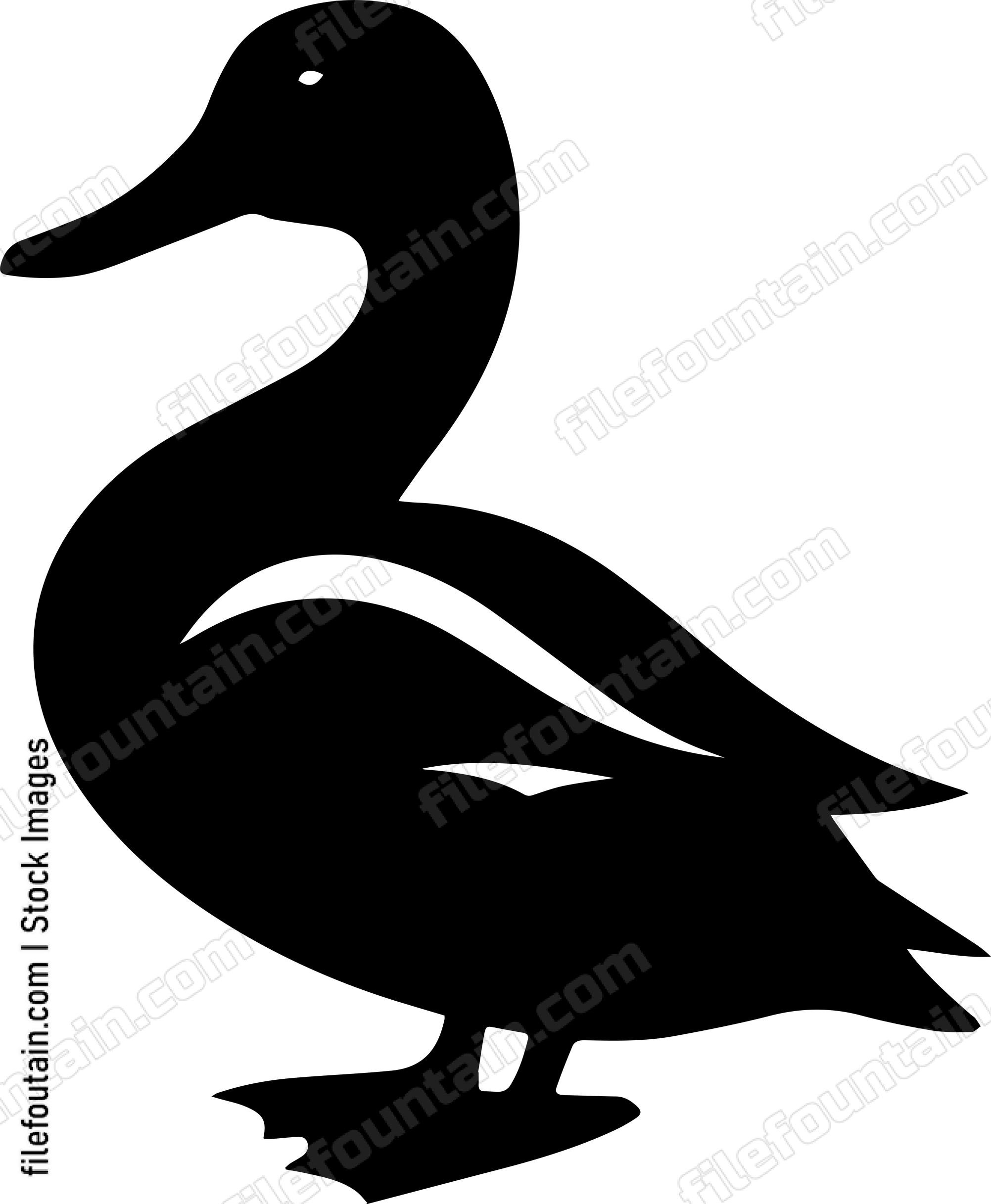 Duck