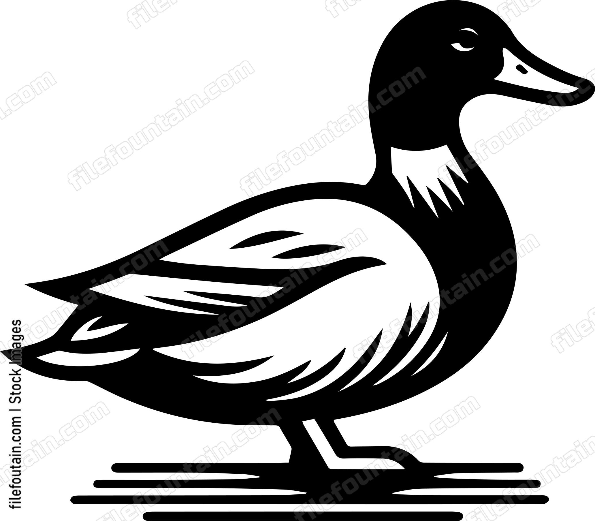 Duck