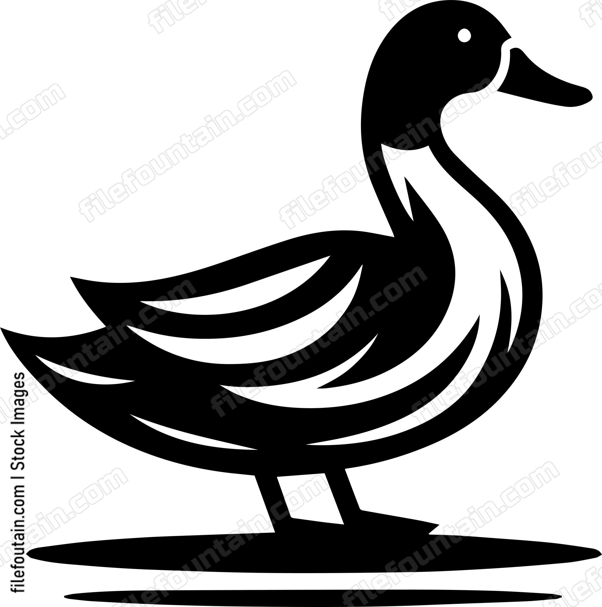Duck