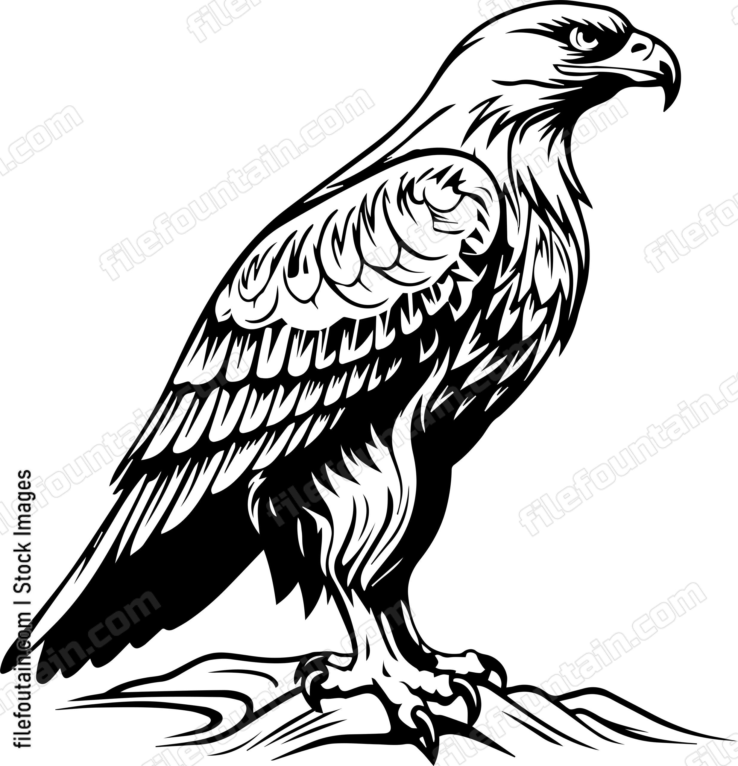 Eagle
