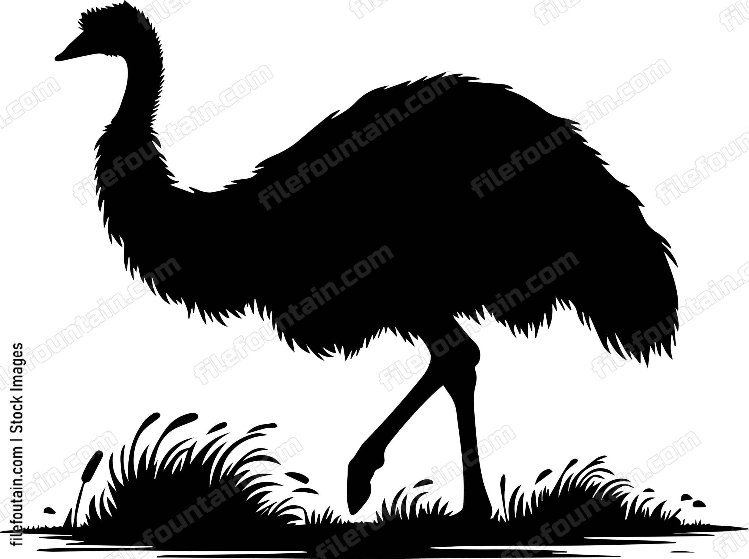 Emu