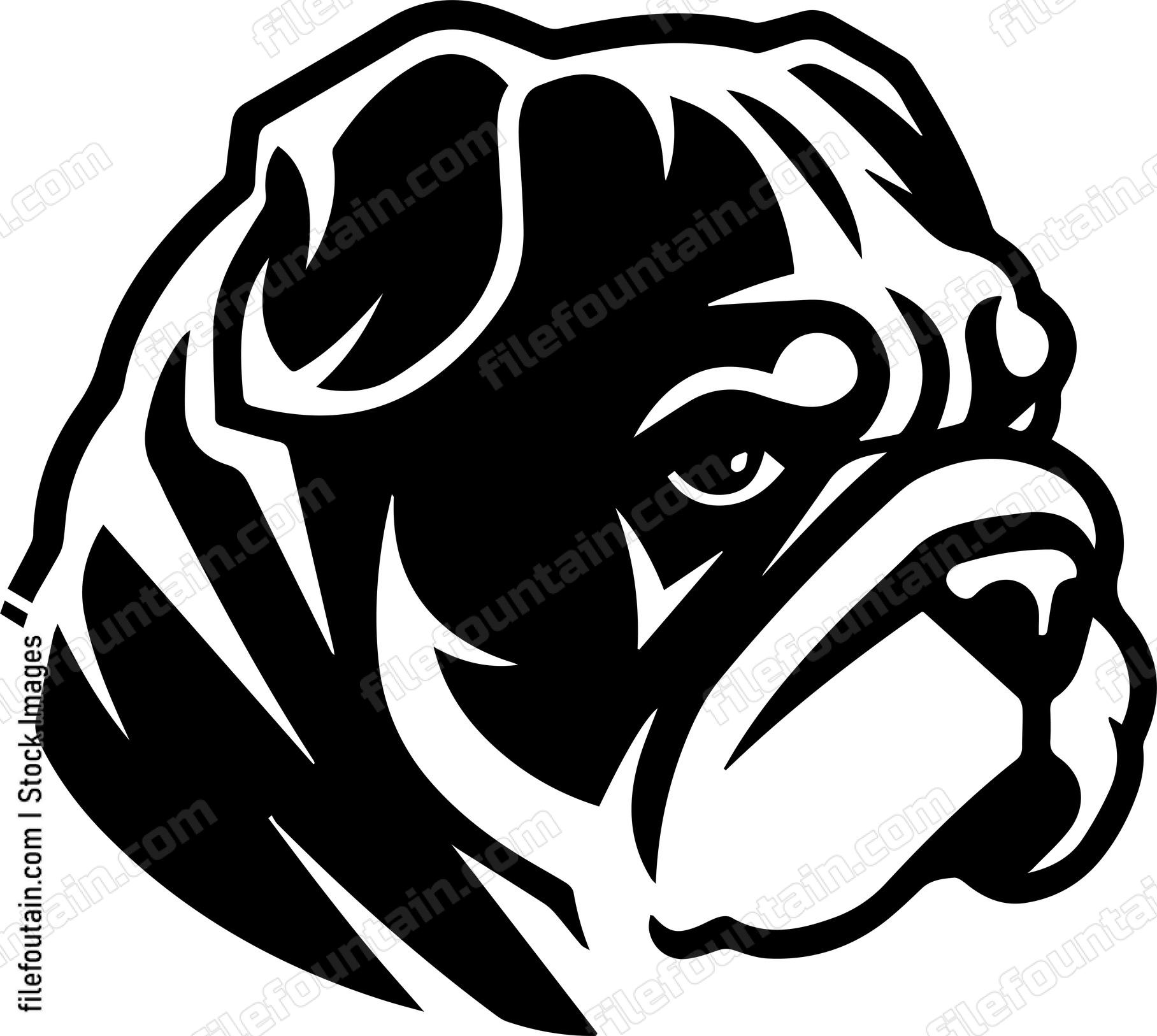 English Bulldog