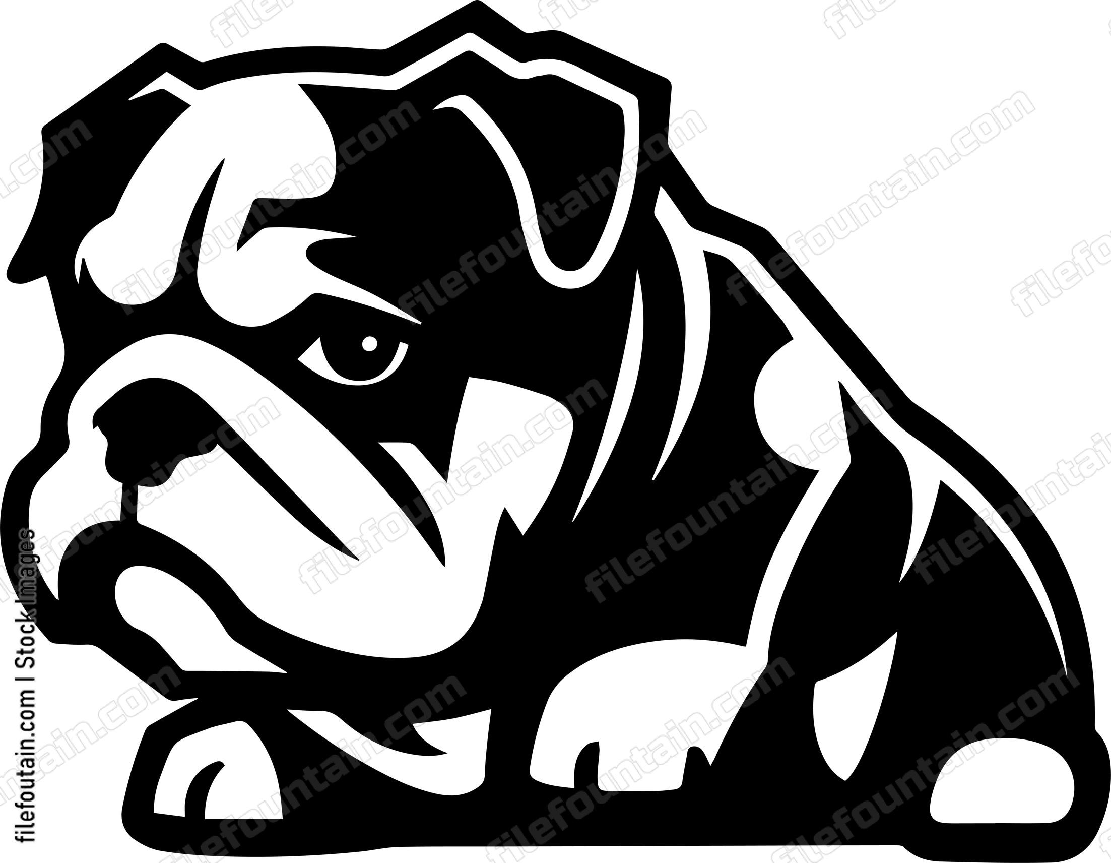 English Bulldog