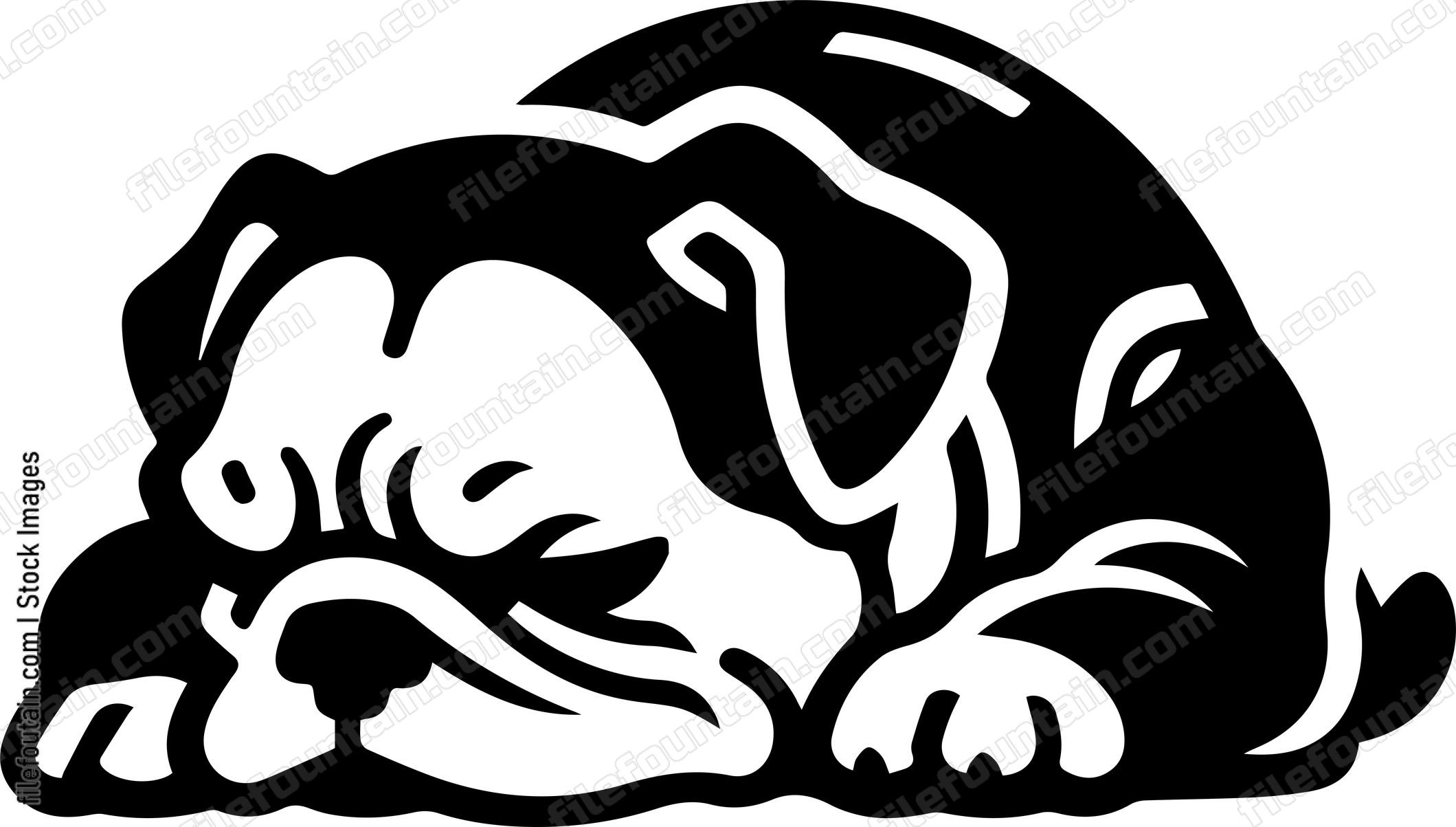 English Bulldog
