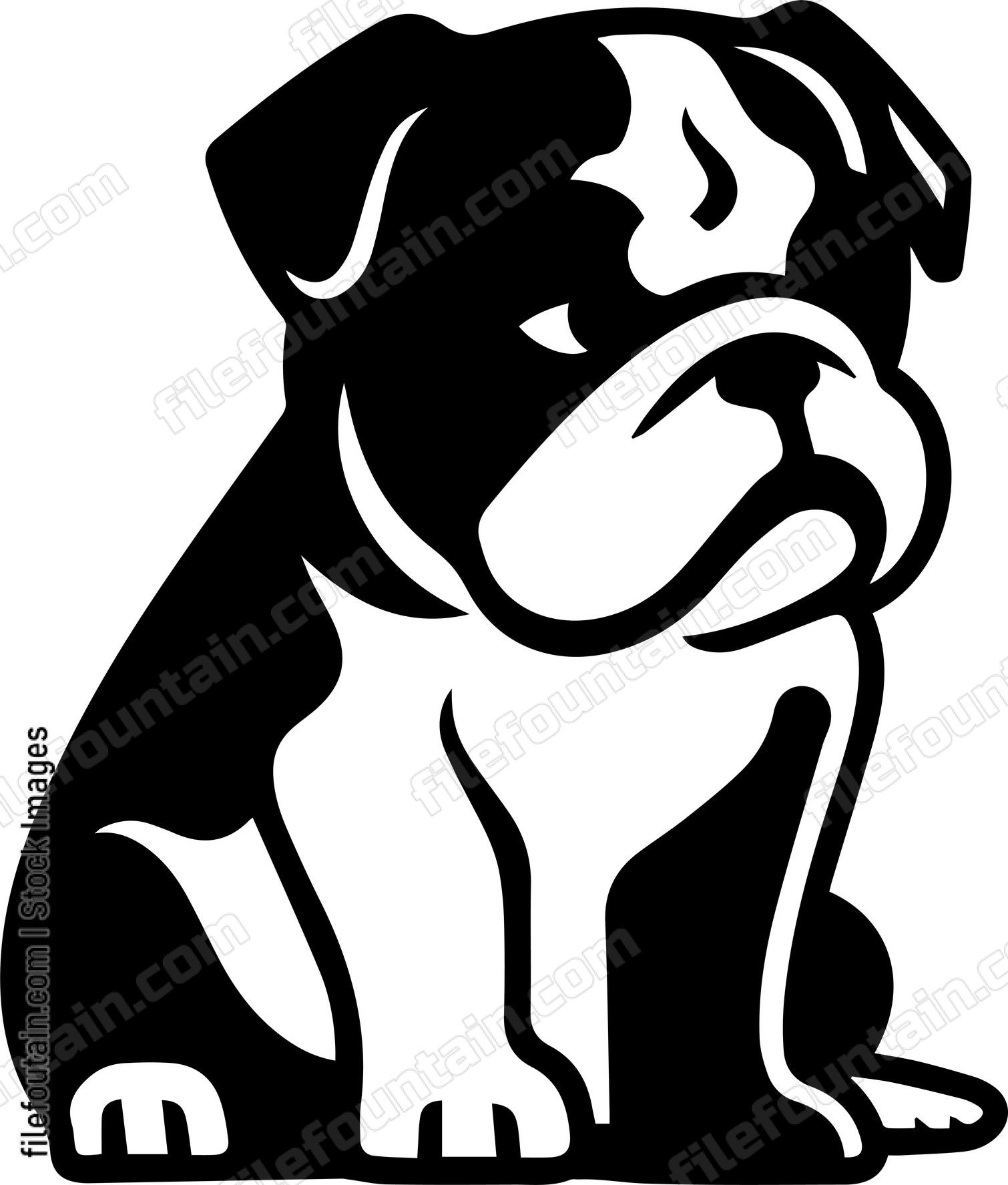 English Bulldog