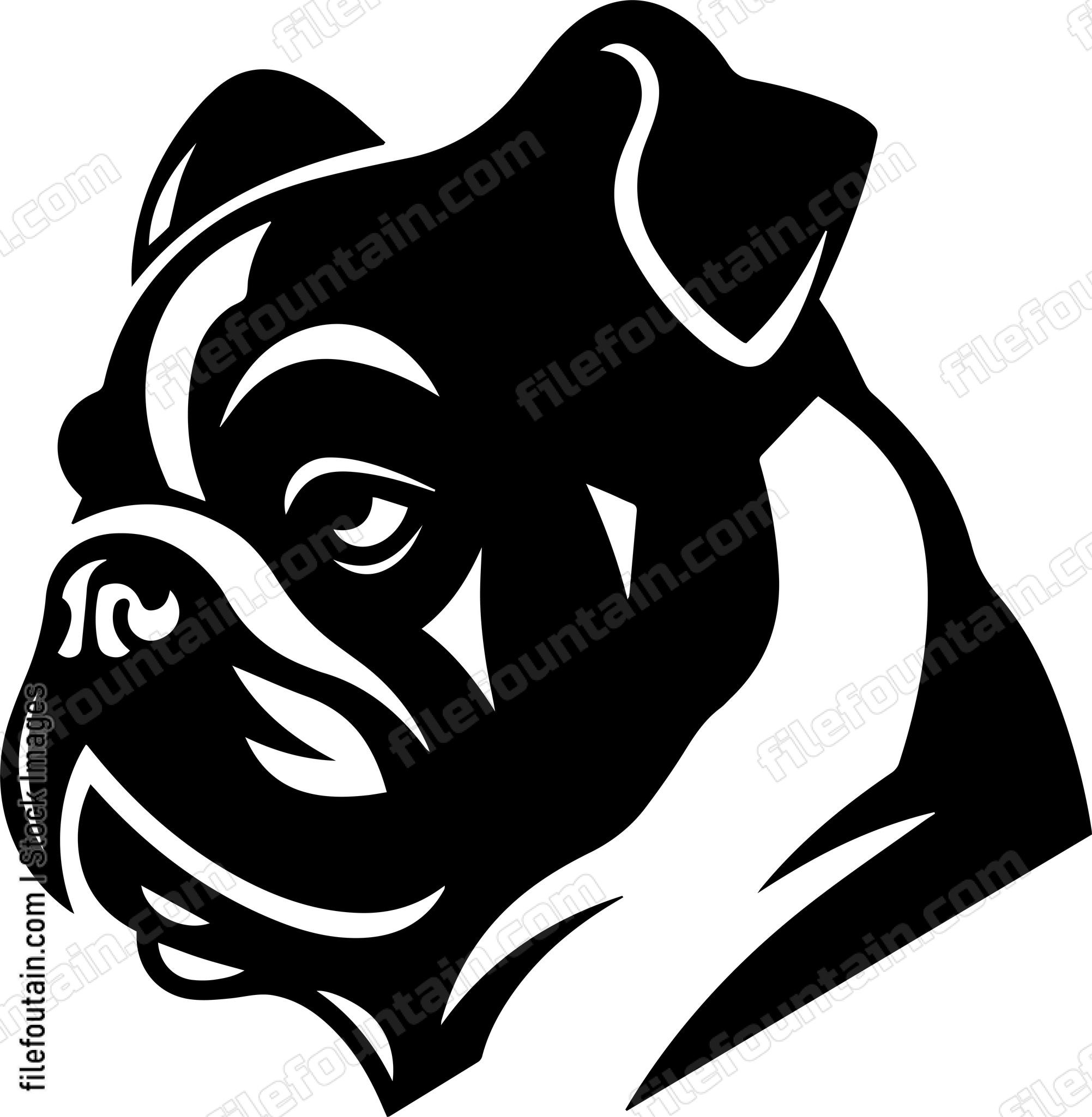 English Bulldog