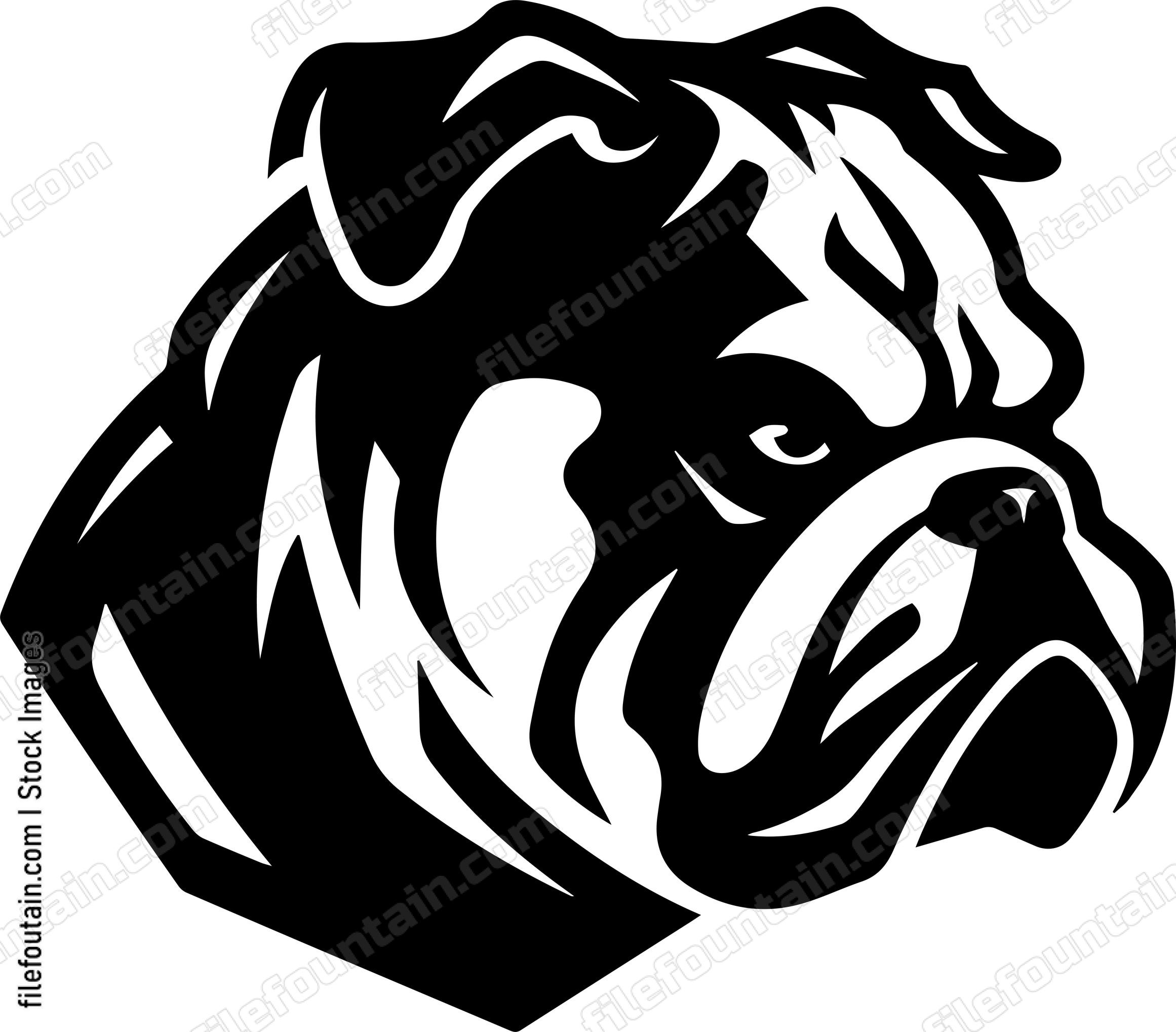 English Bulldog