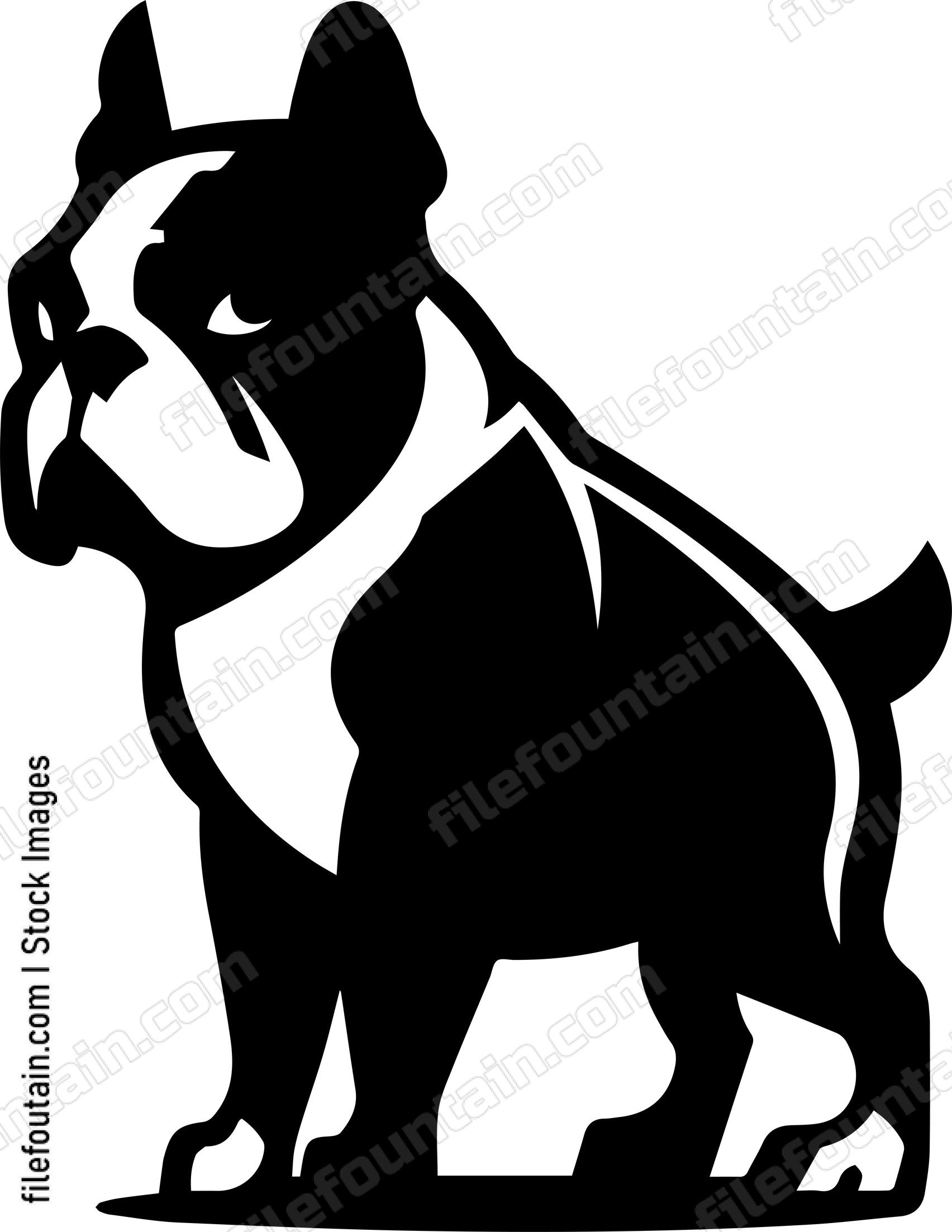 English Bulldog