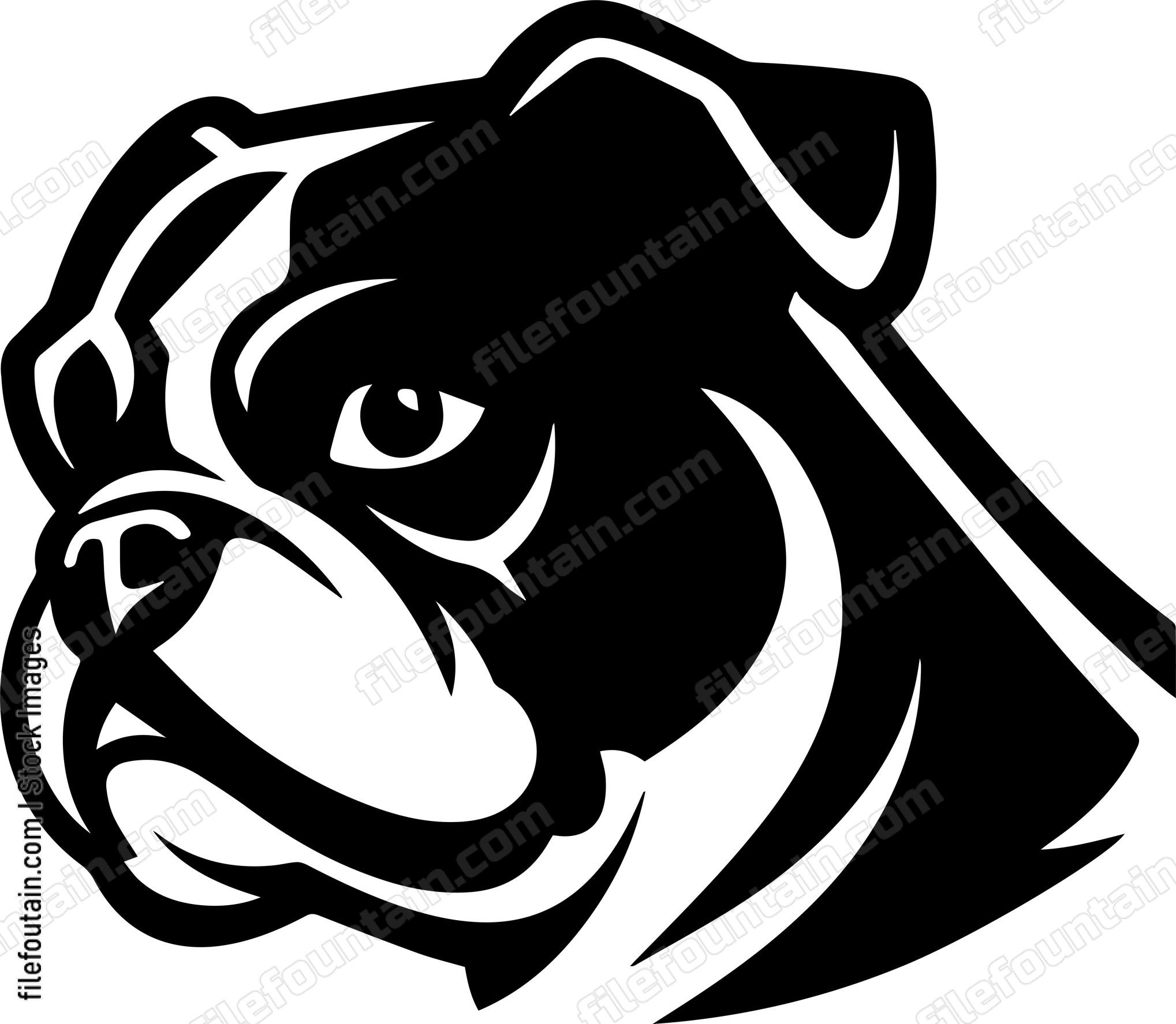 English Bulldog