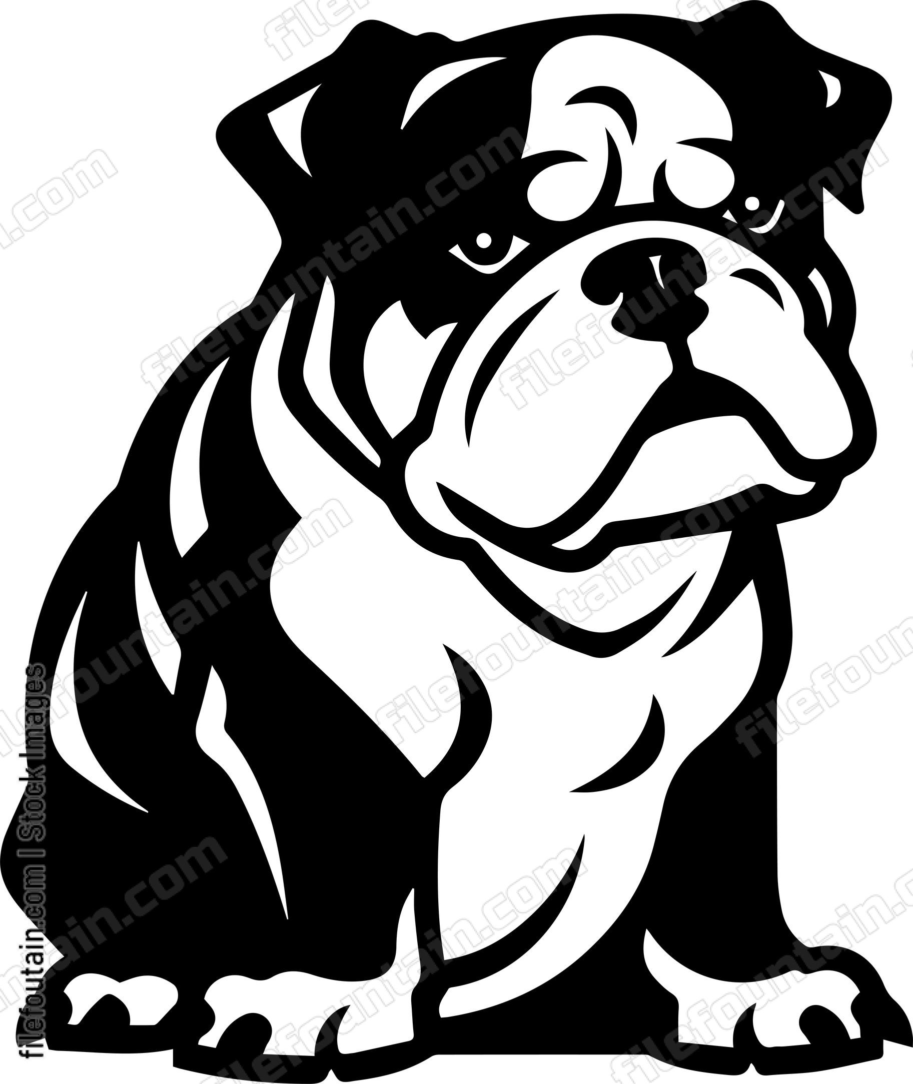 English Bulldog