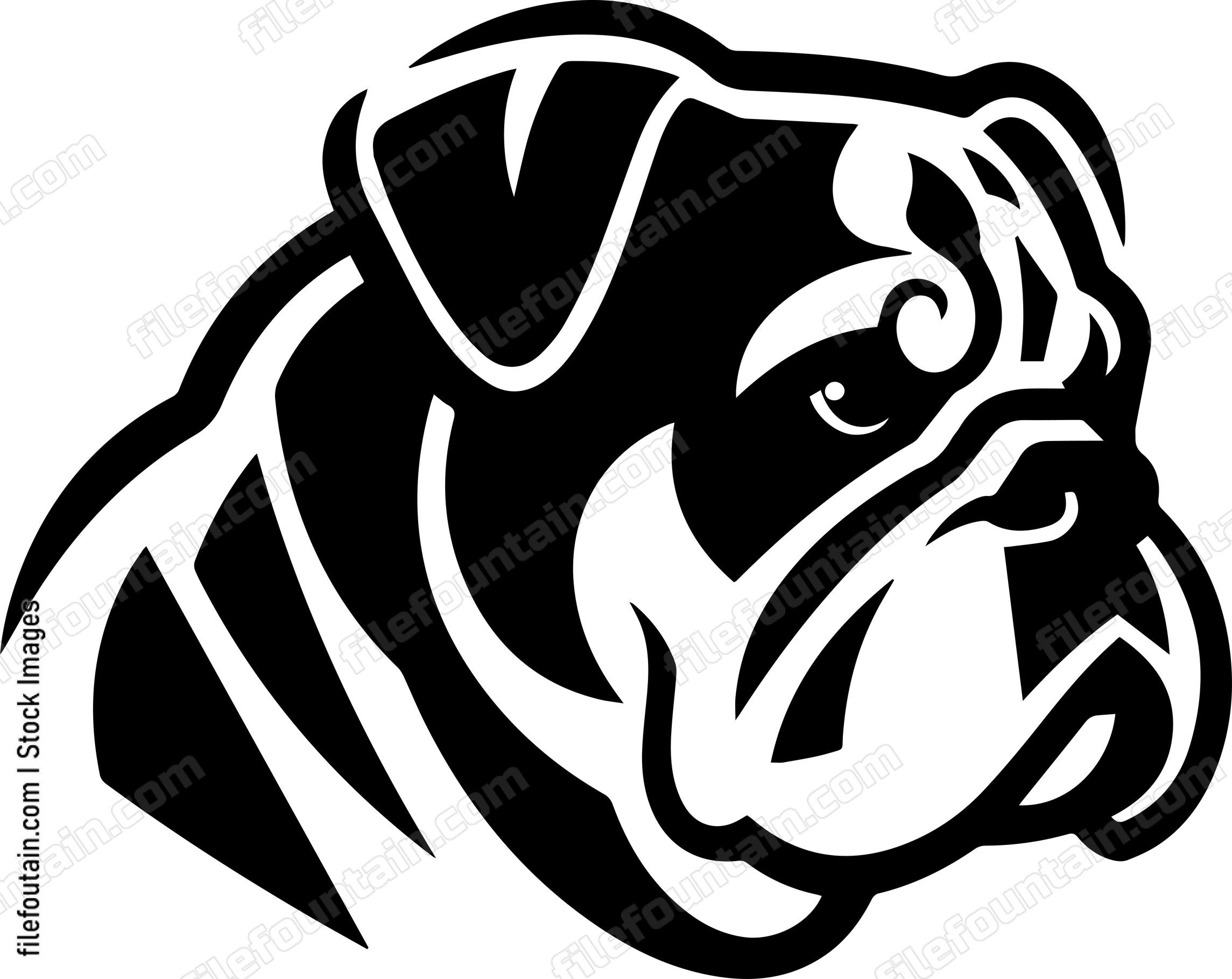 English Bulldog