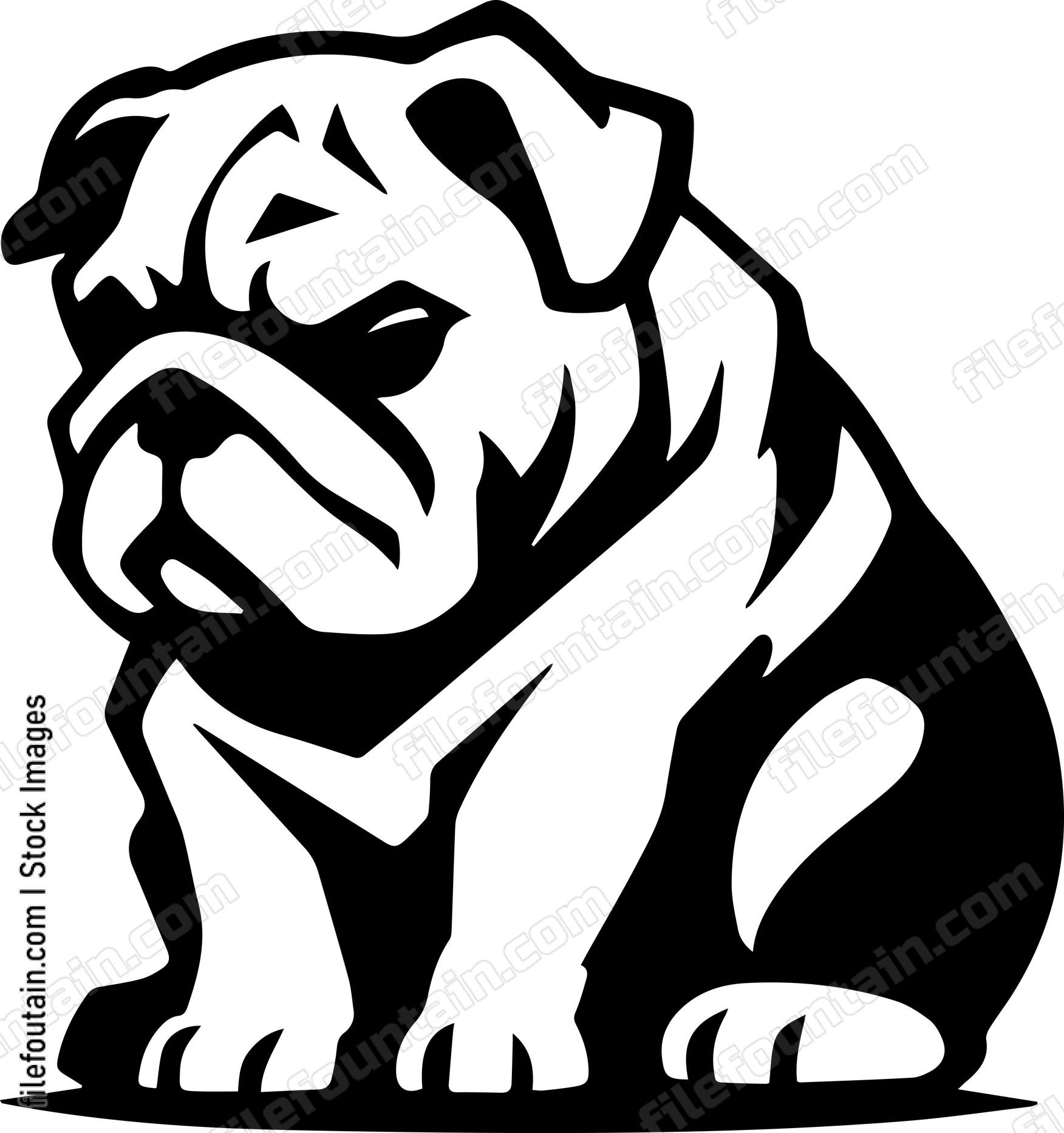English Bulldog