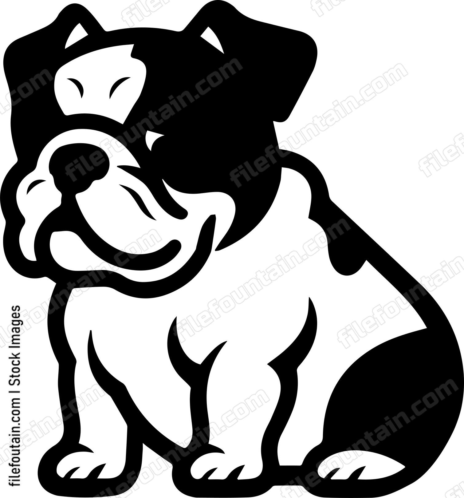English Bulldog