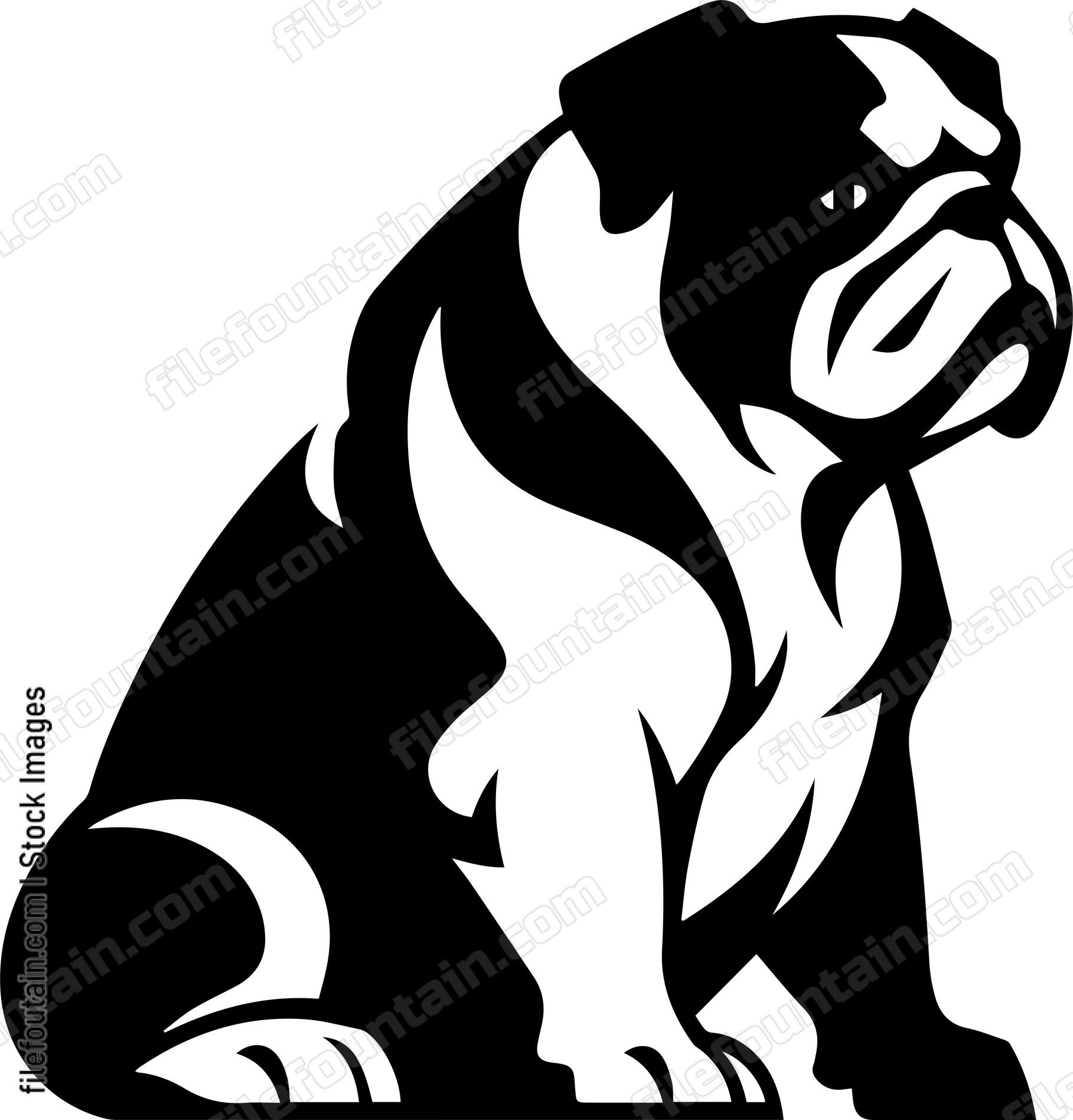 English Bulldog