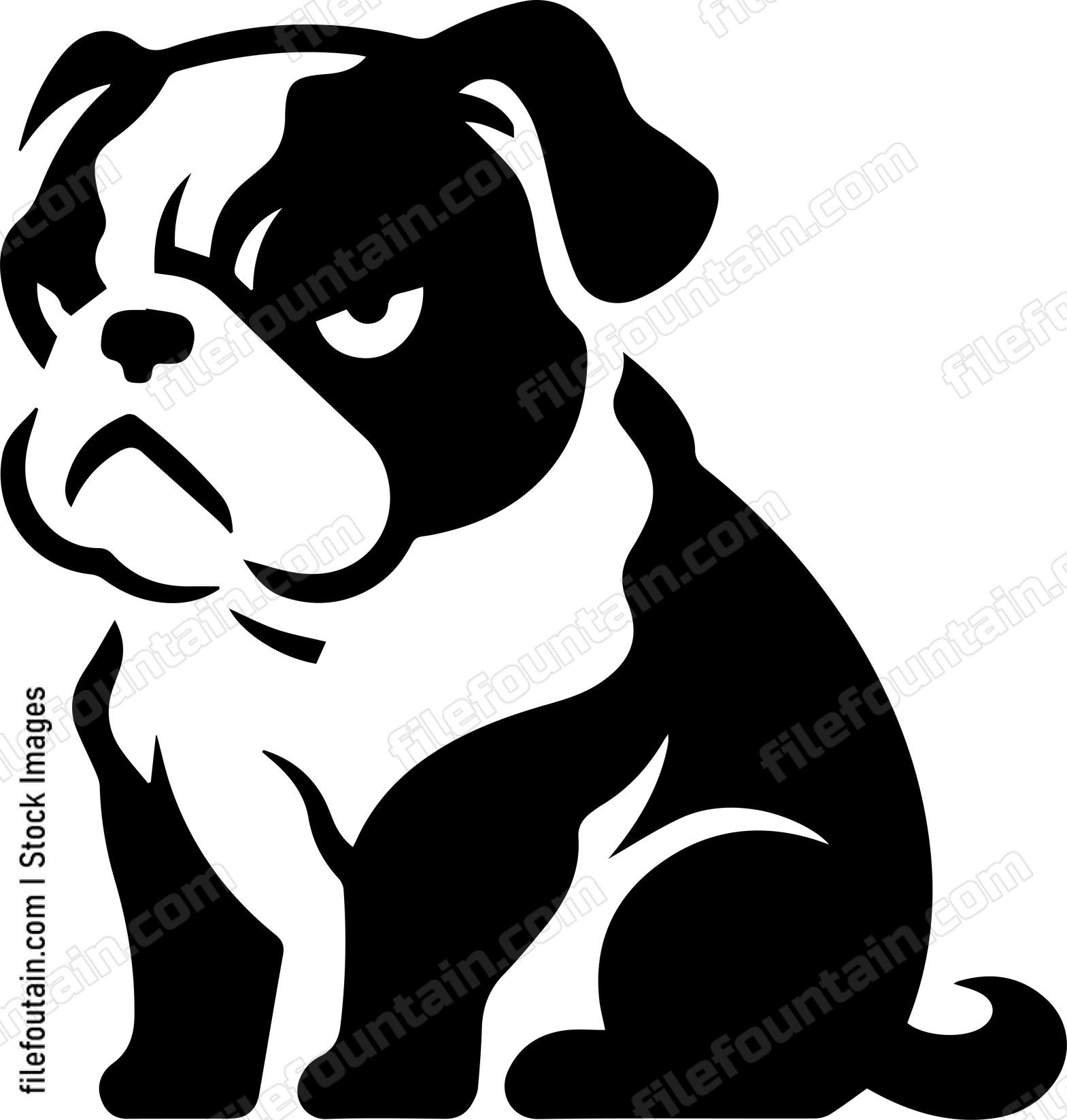 English Bulldog