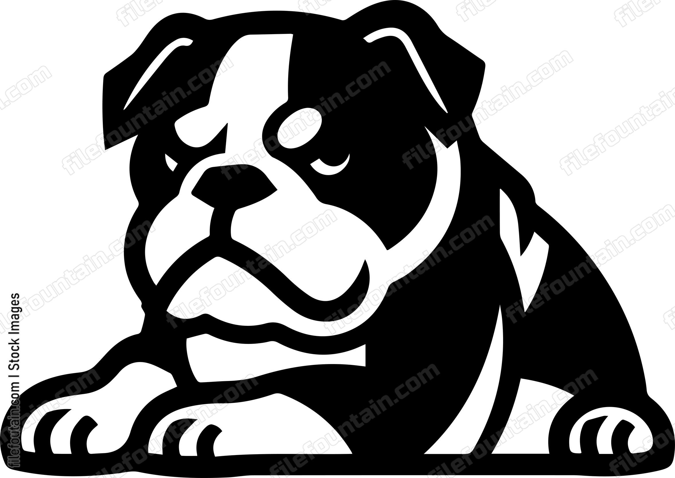 English Bulldog