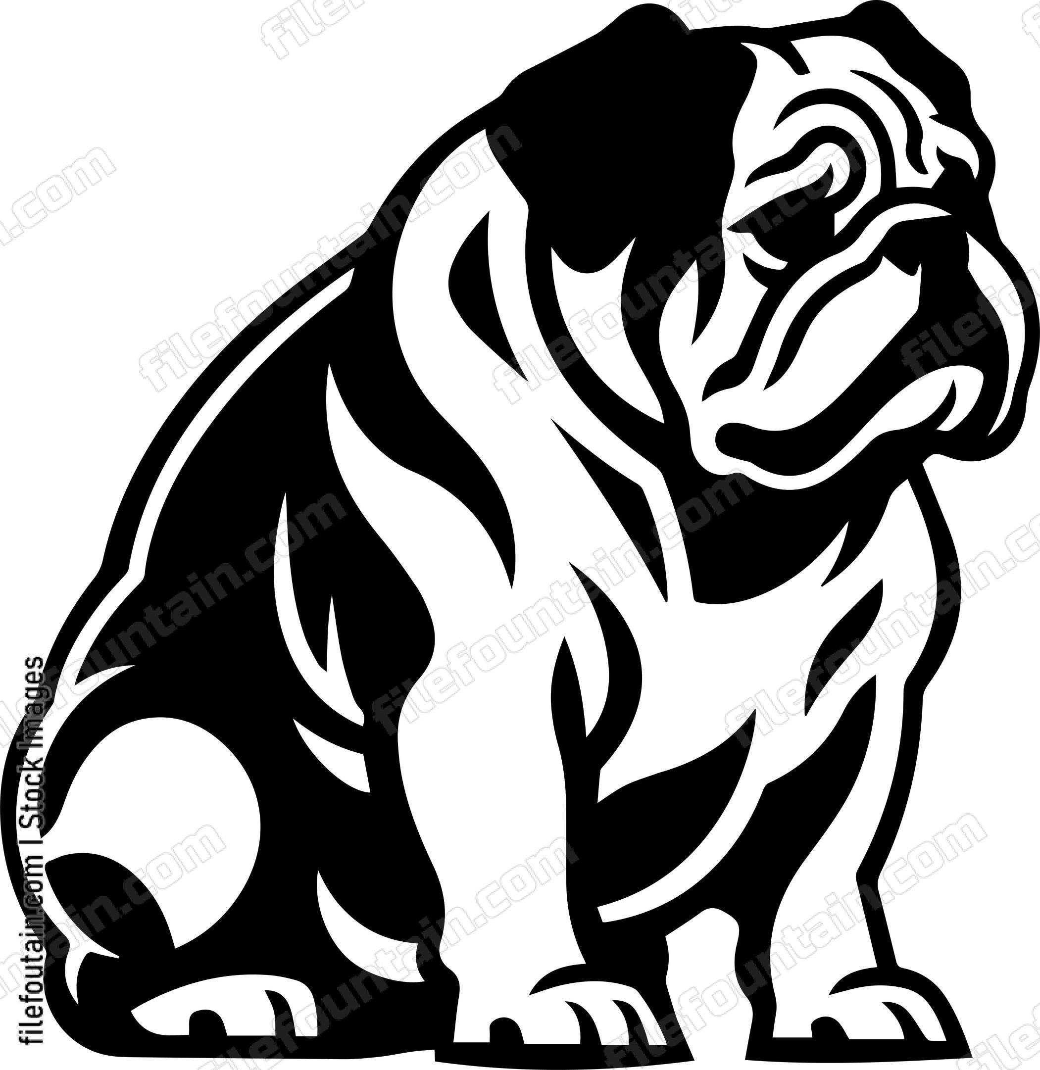 English Bulldog