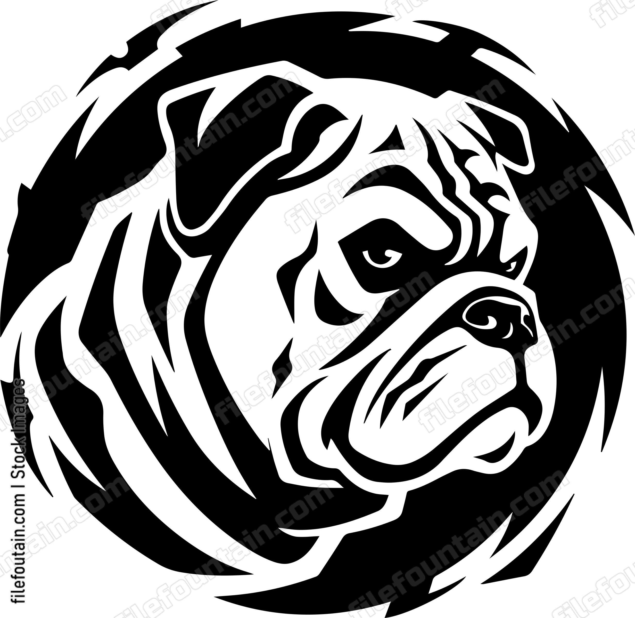 English Bulldog