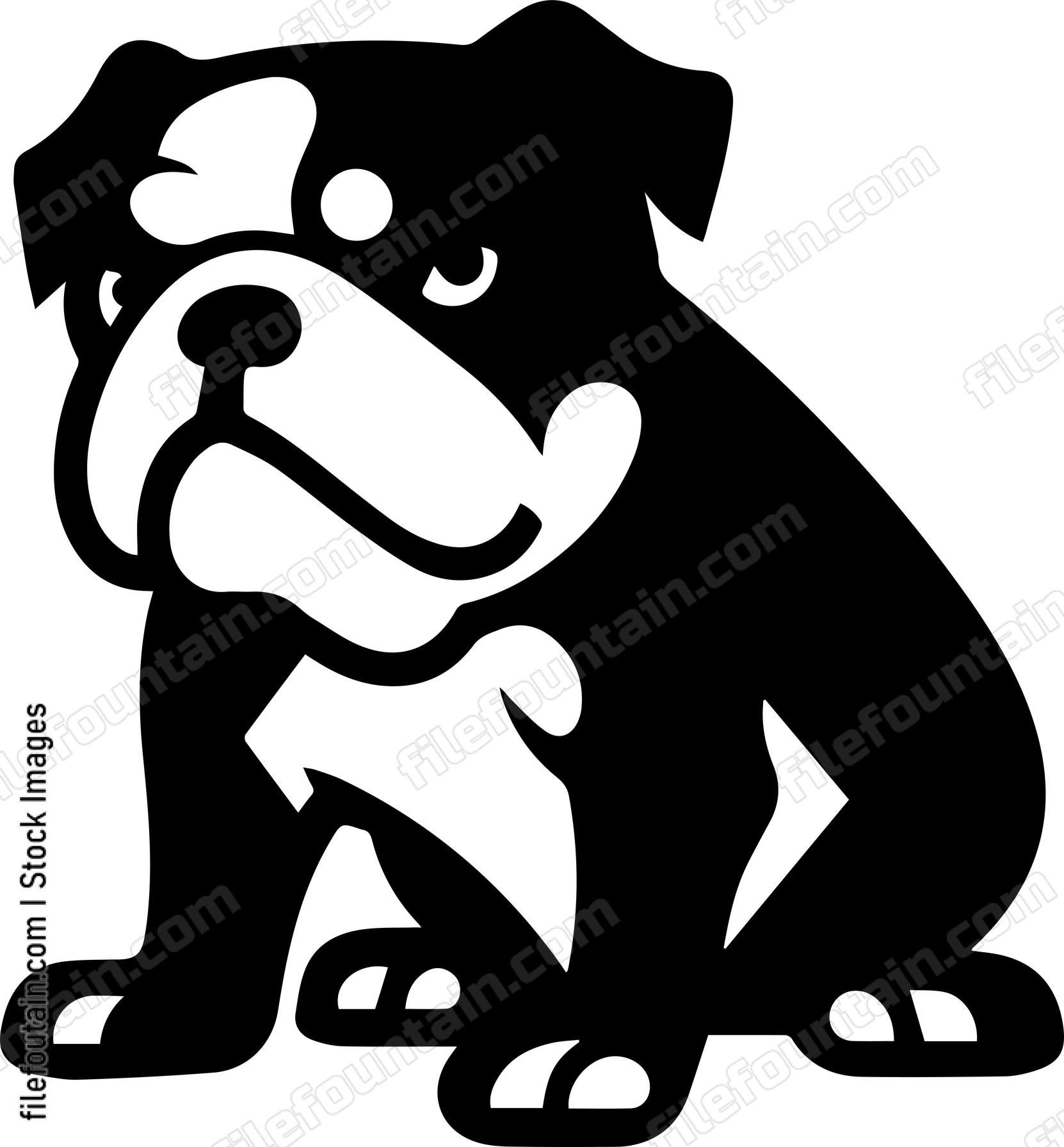 English Bulldog
