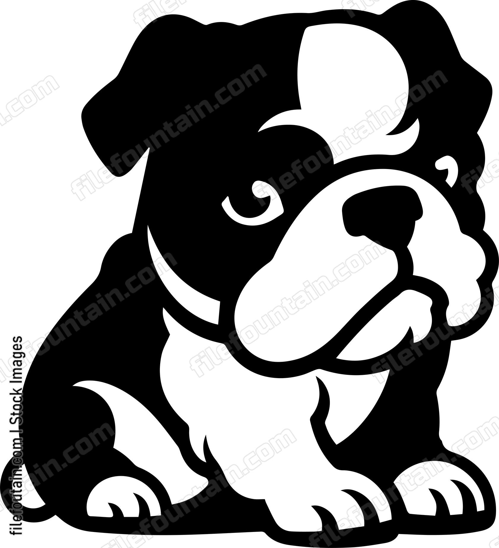 English Bulldog