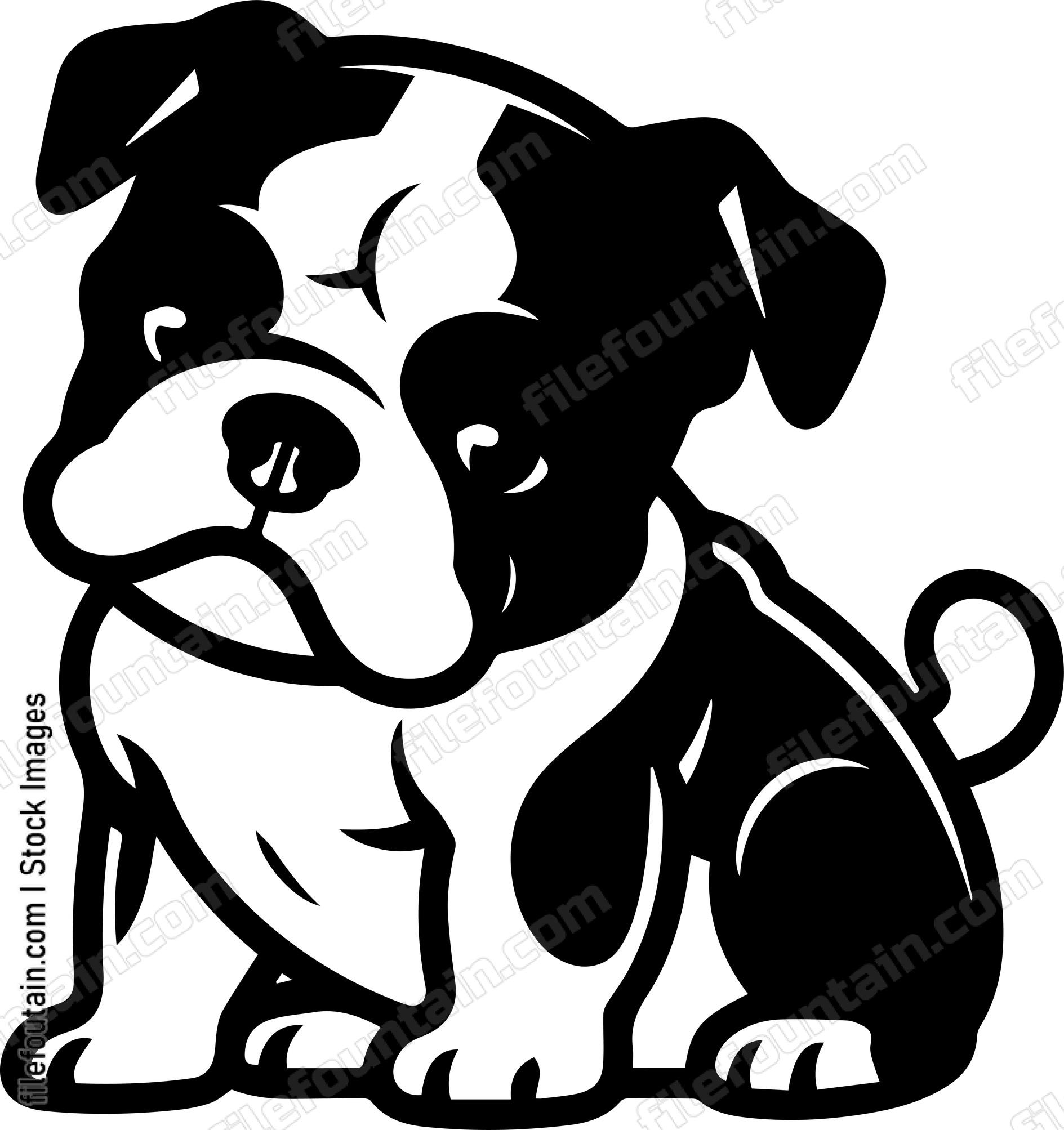 English Bulldog