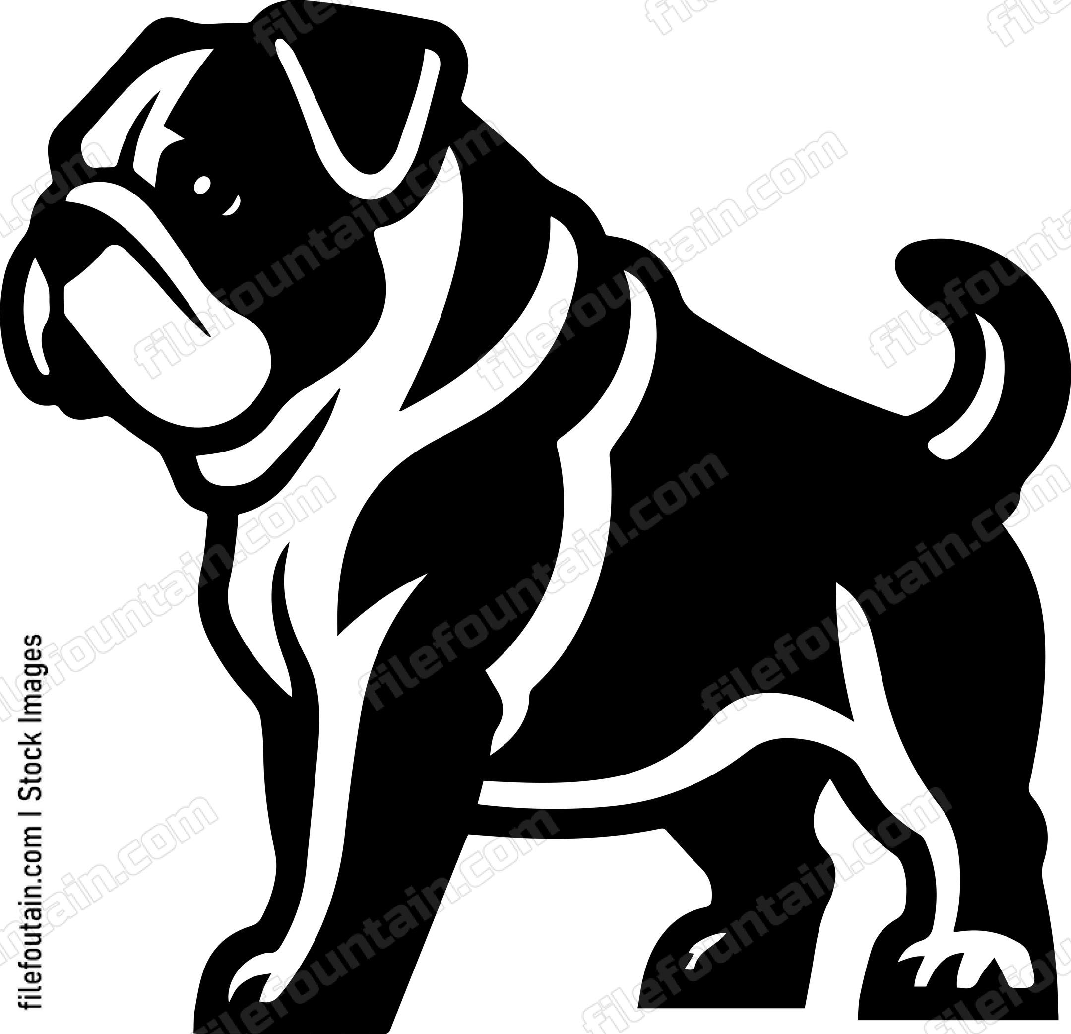 English Bulldog