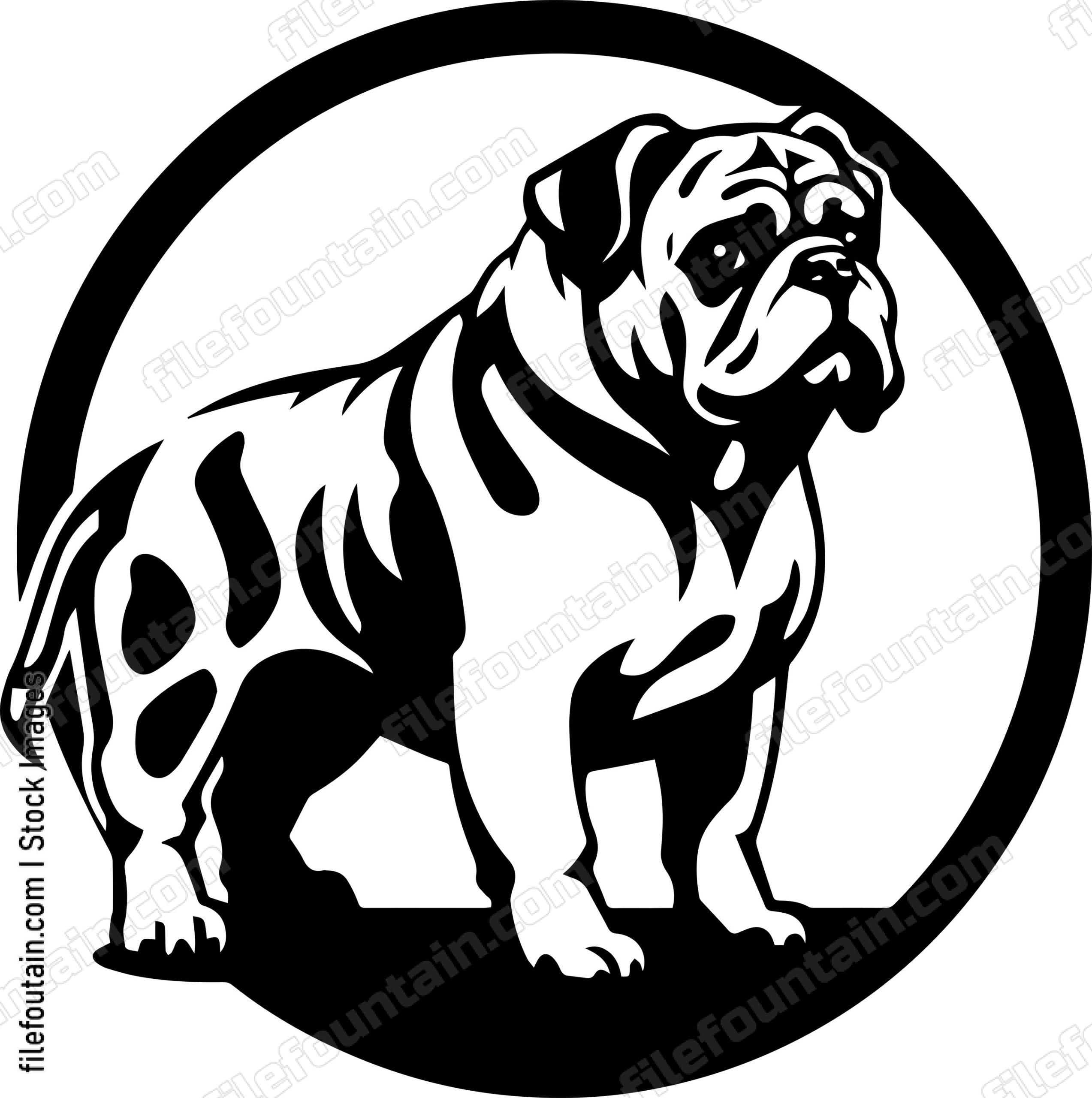 English Bulldog