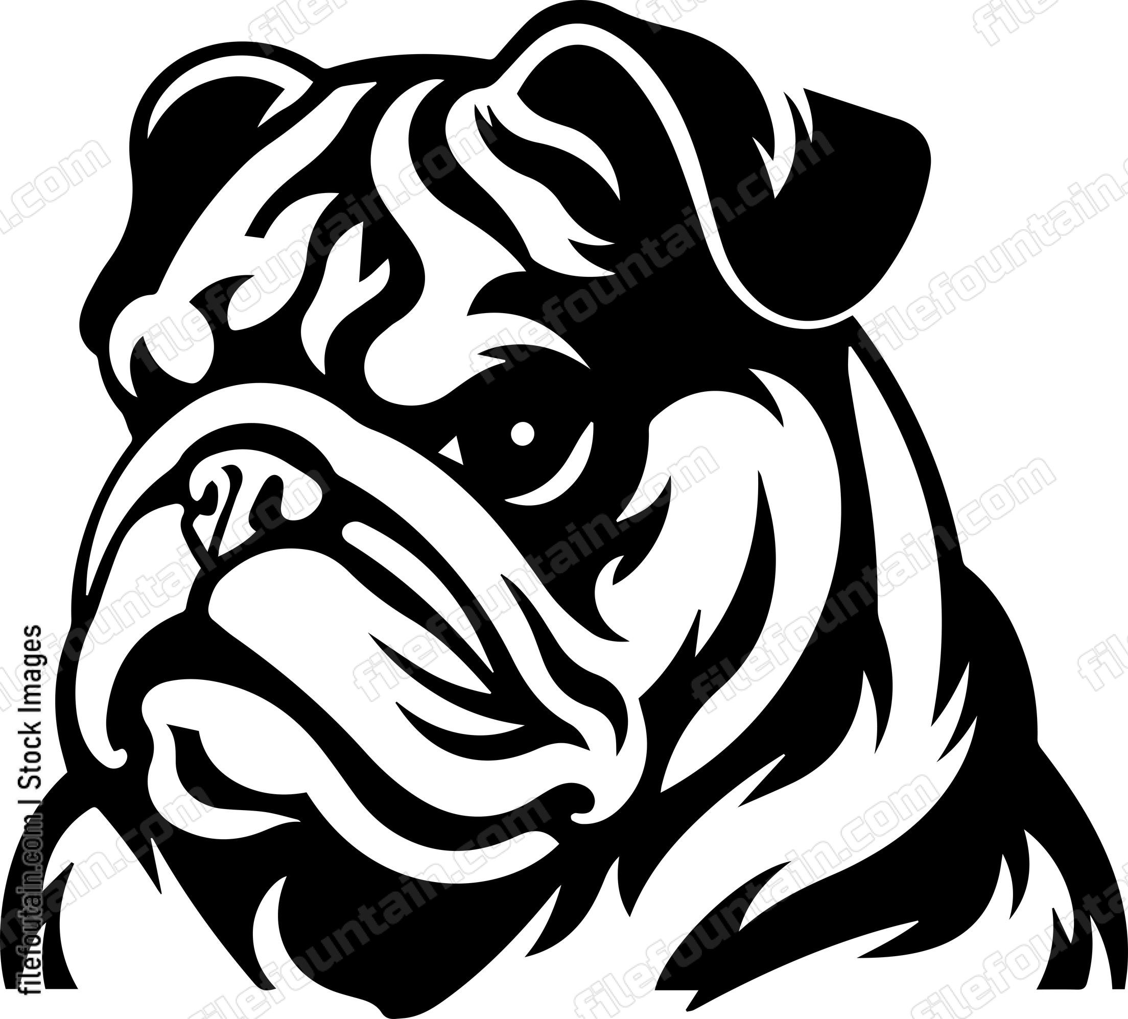 English Bulldog