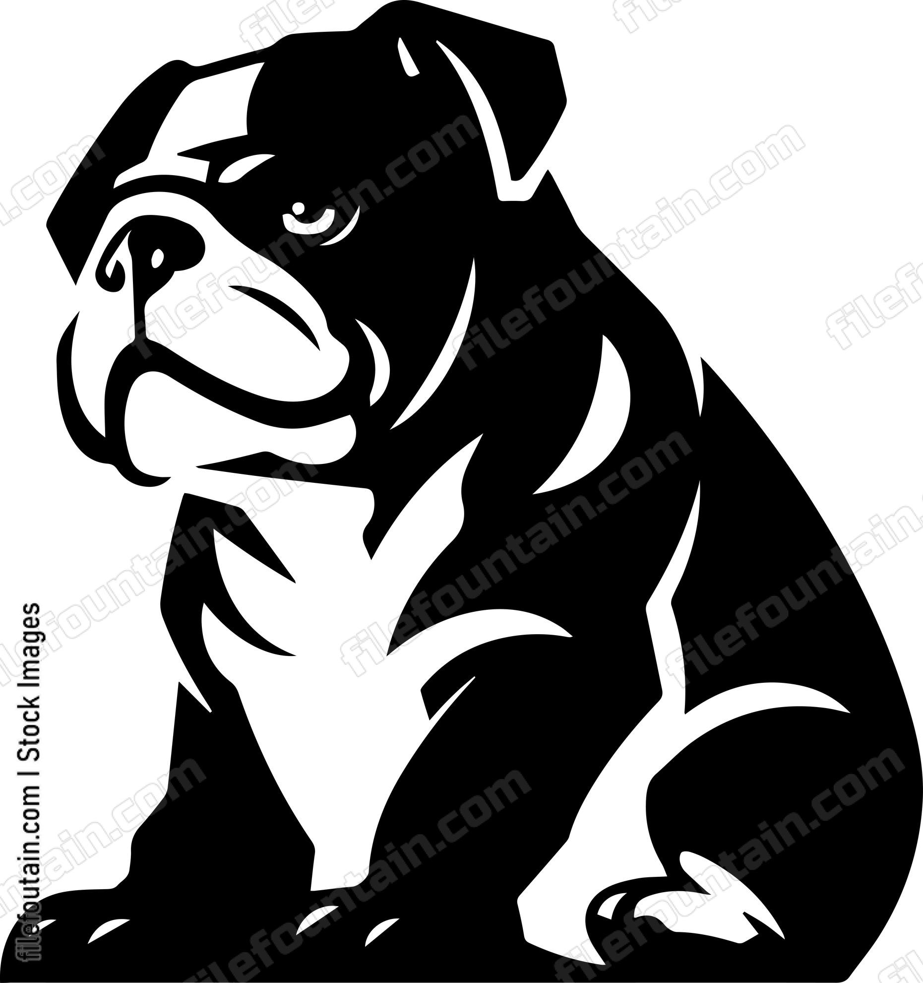 English Bulldog
