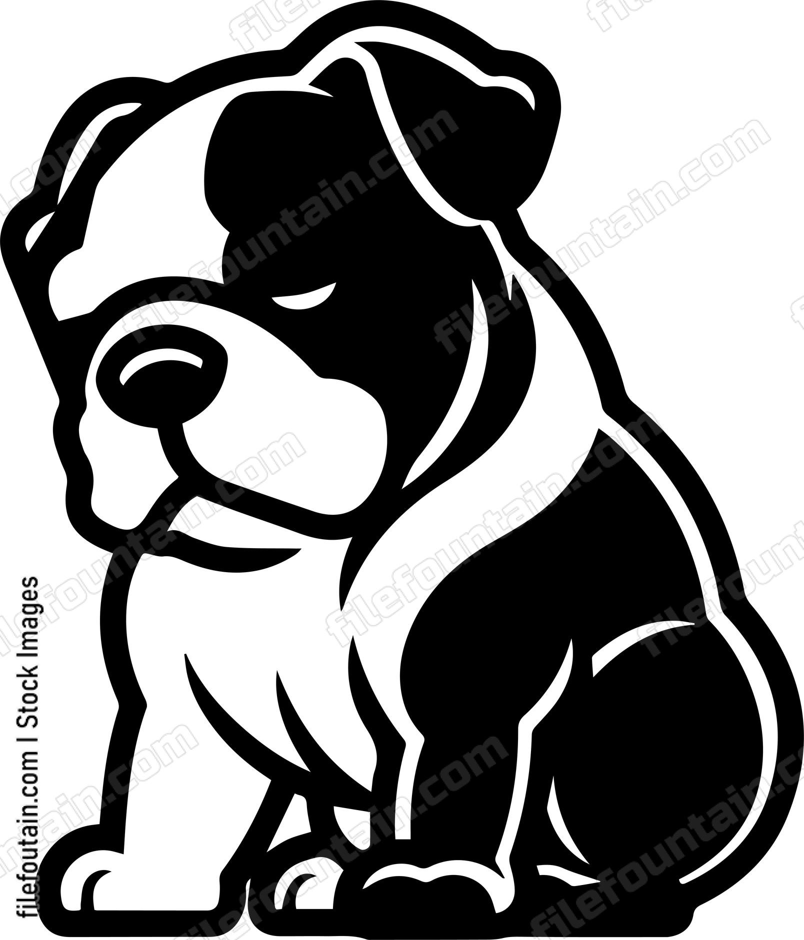 English Bulldog