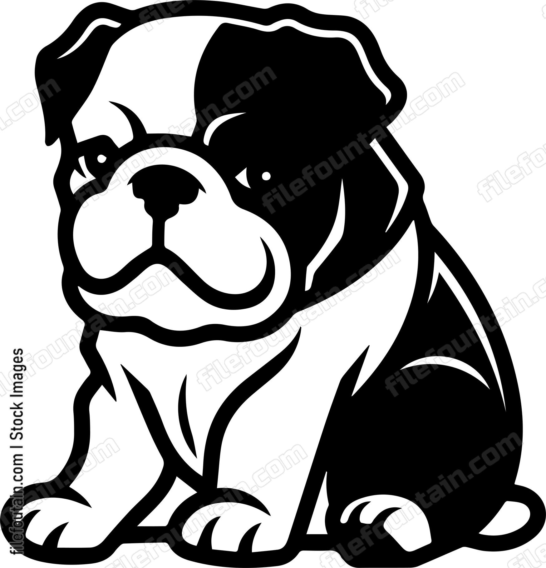 English Bulldog