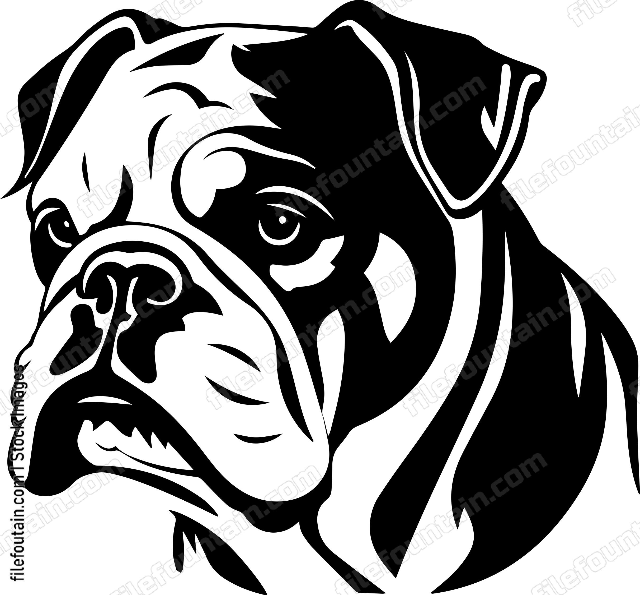 English Bulldog