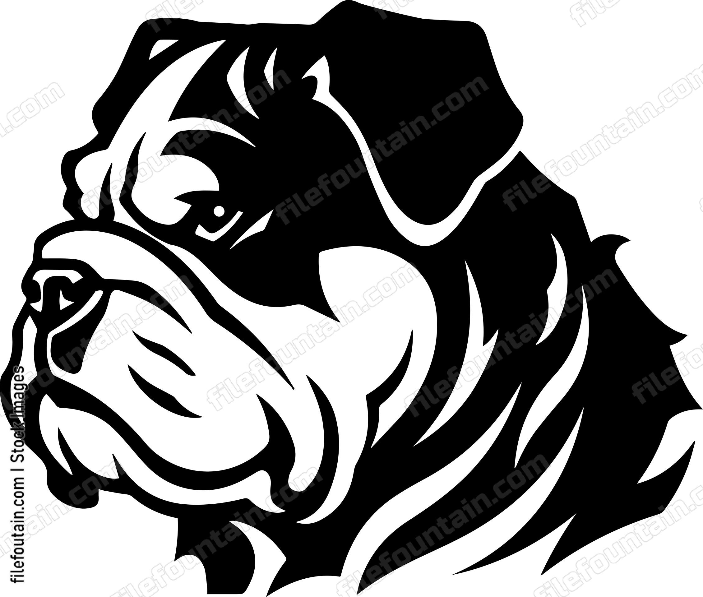 English Bulldog