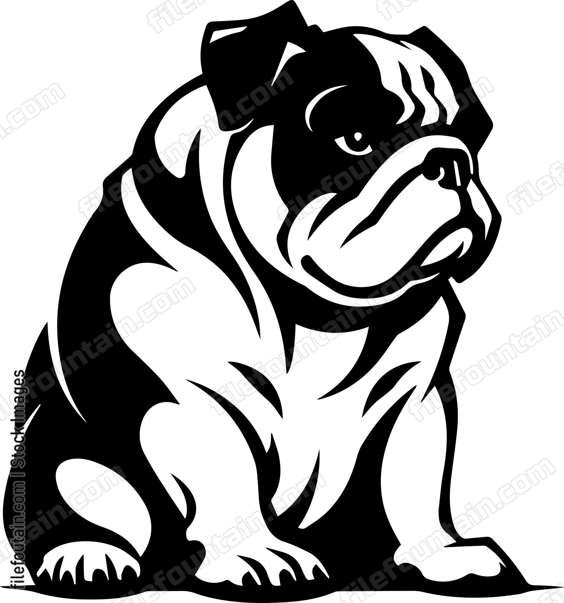 English Bulldog